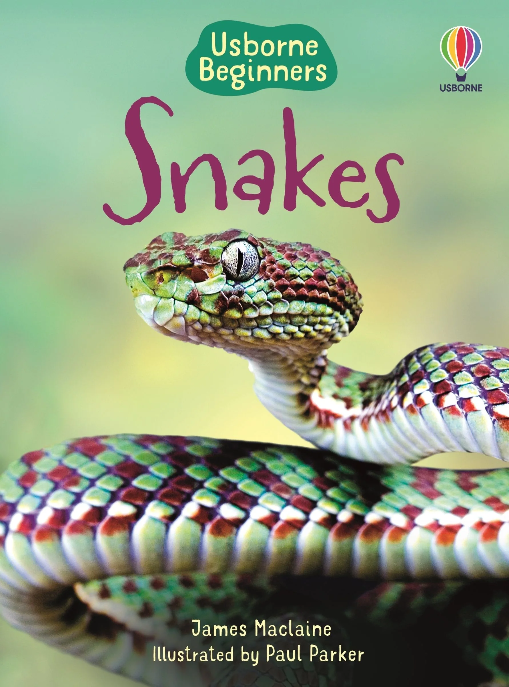 Snakes (Usborne Beginners) - Image 2