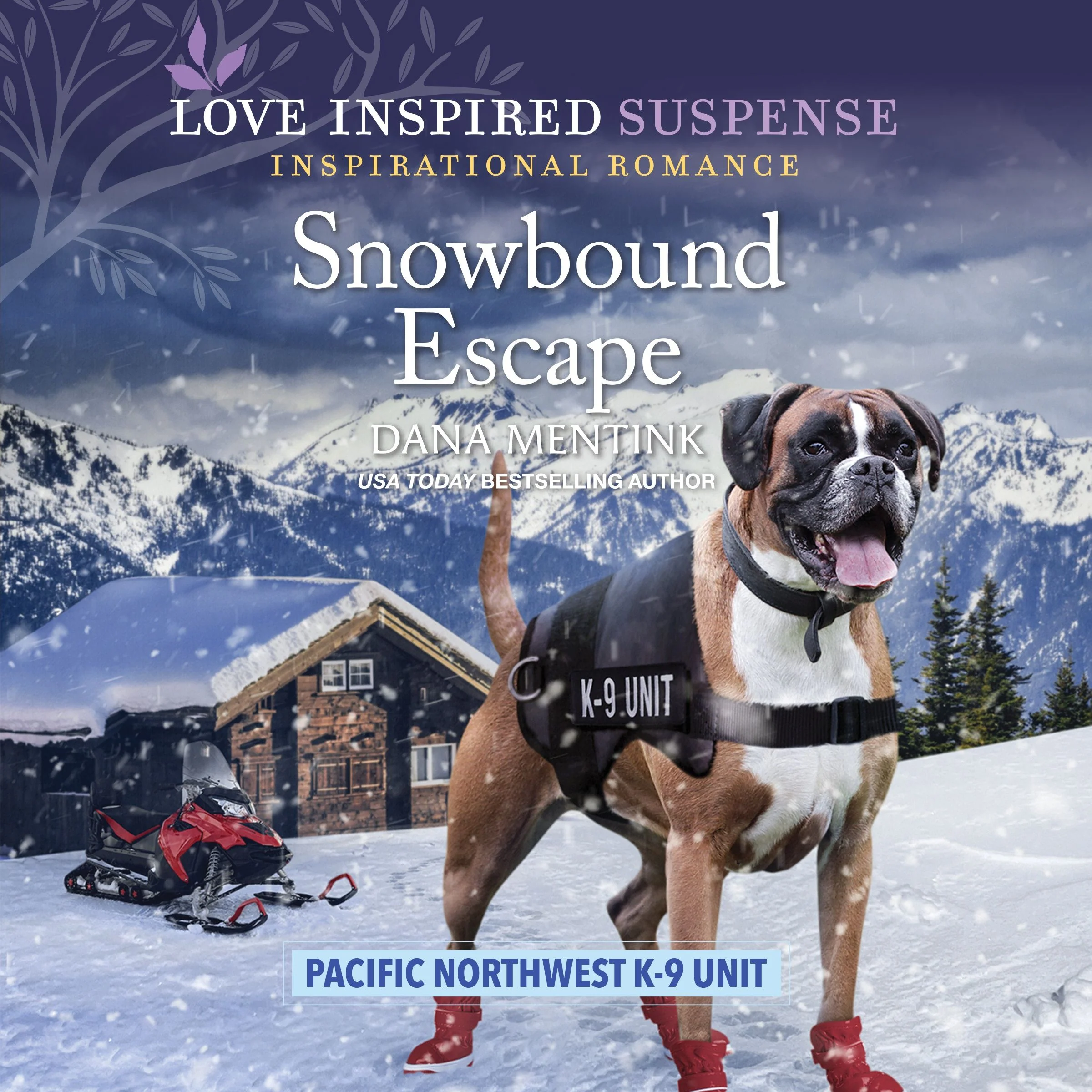 Snowbound Escape - Image 2