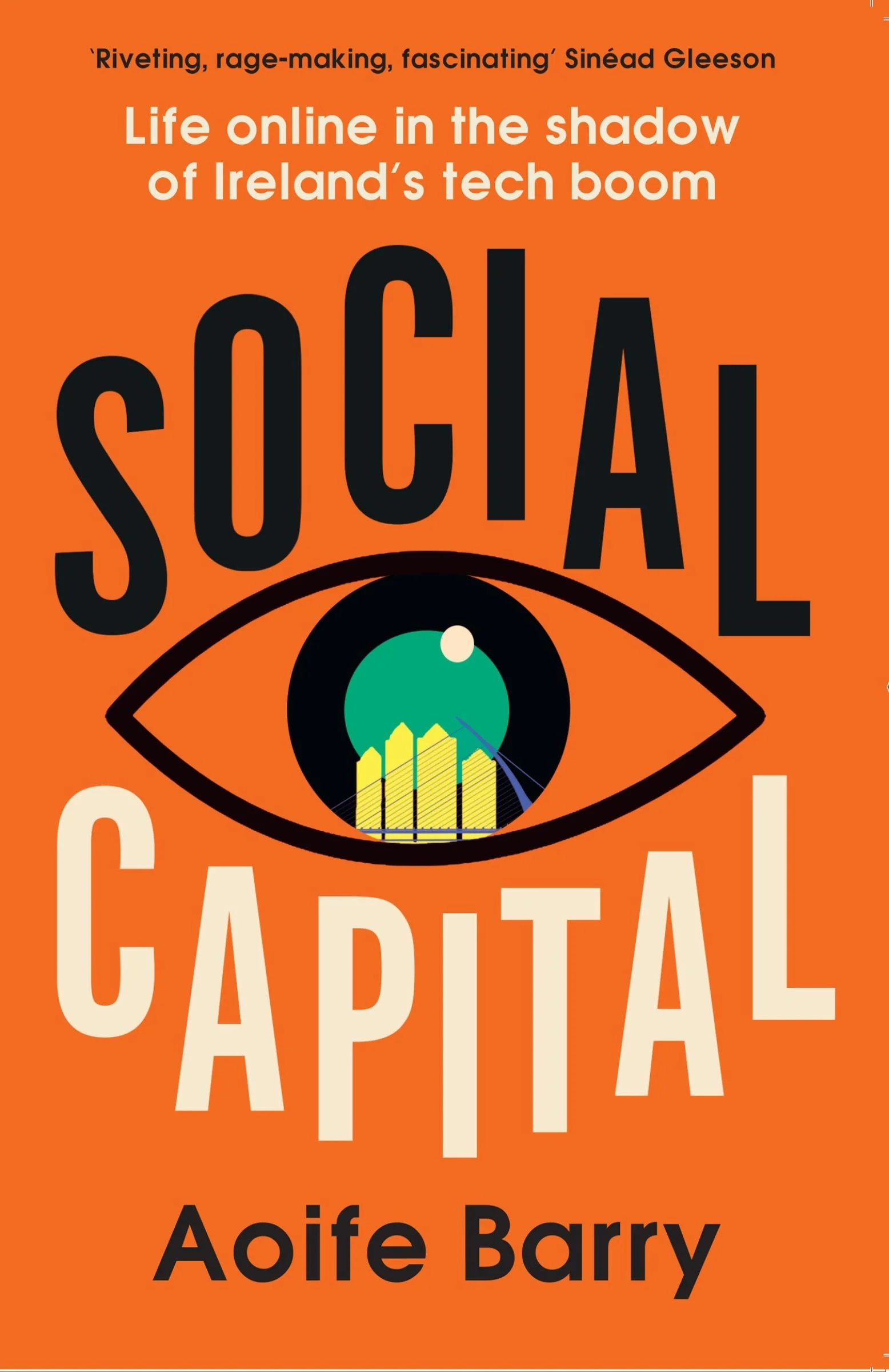 Social Capital: Life online in the shadow of Ireland’s tech boom - Image 4