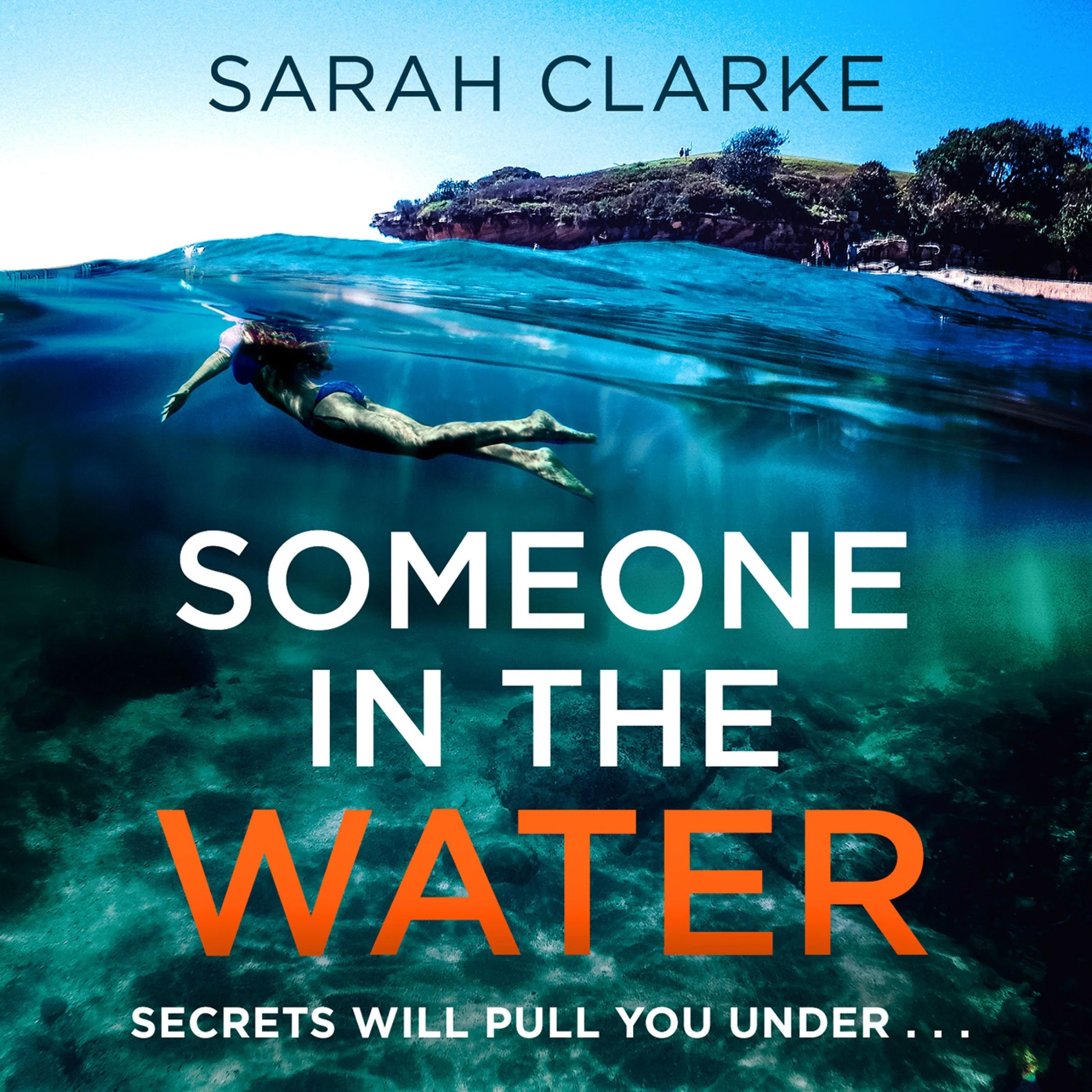 Someone in the Water - Image 3