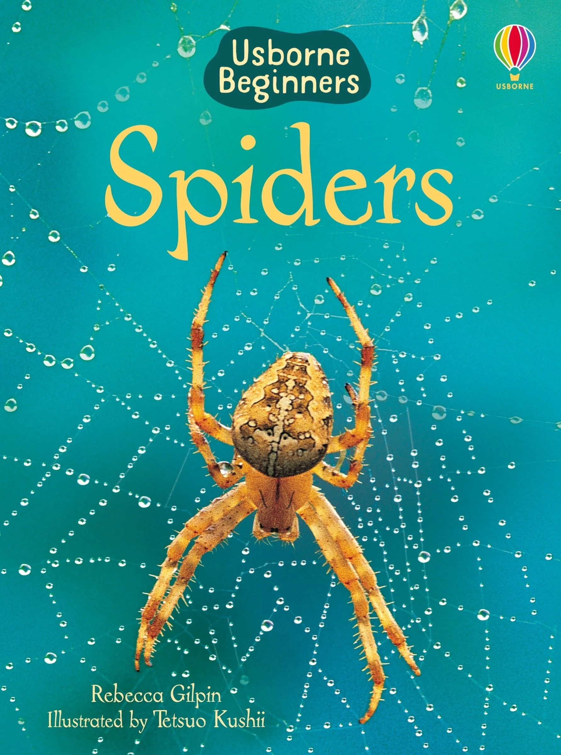 Spiders (Usborne Beginners) - Image 2