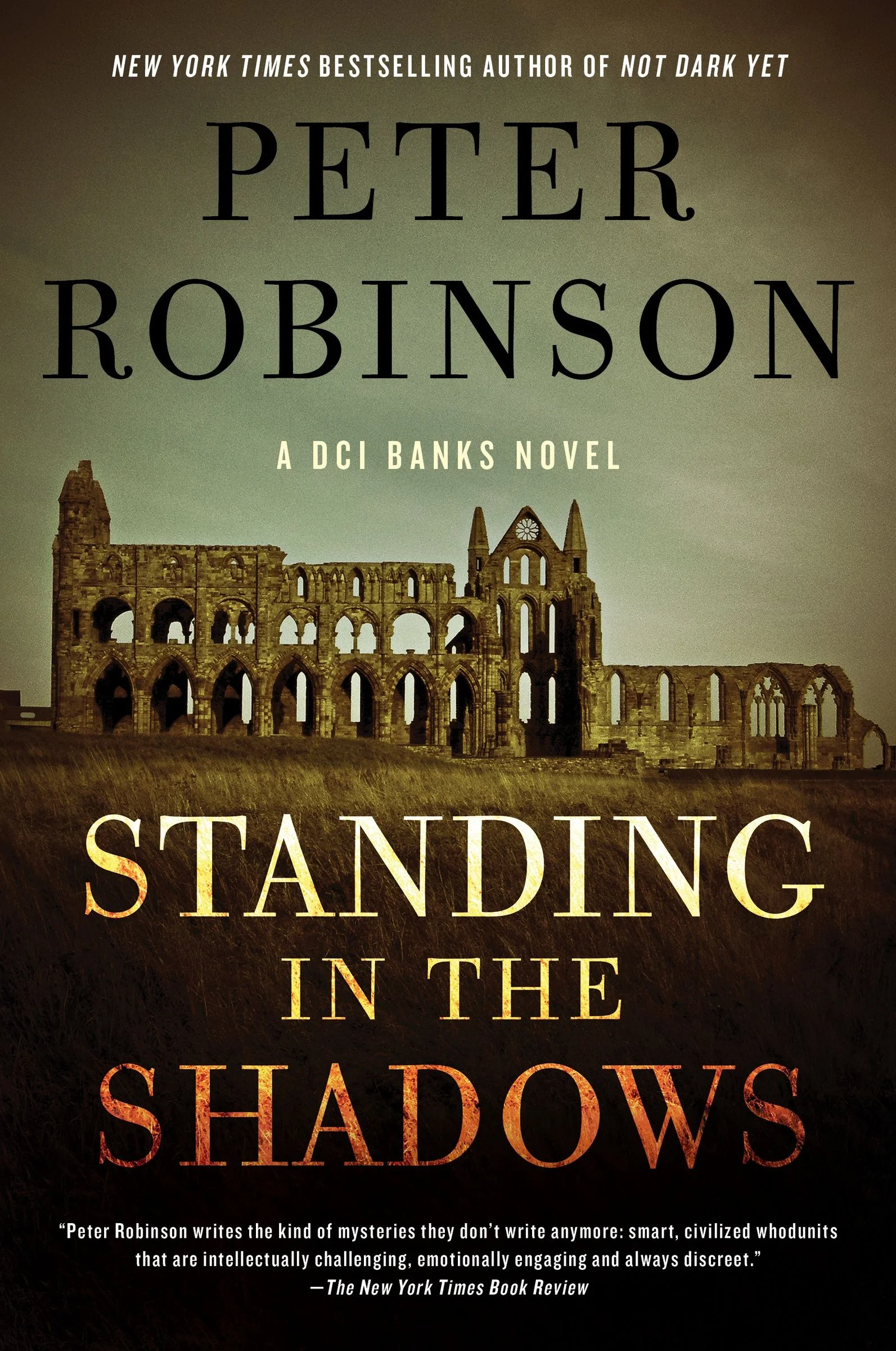 Standing in the Shadows - Image 3