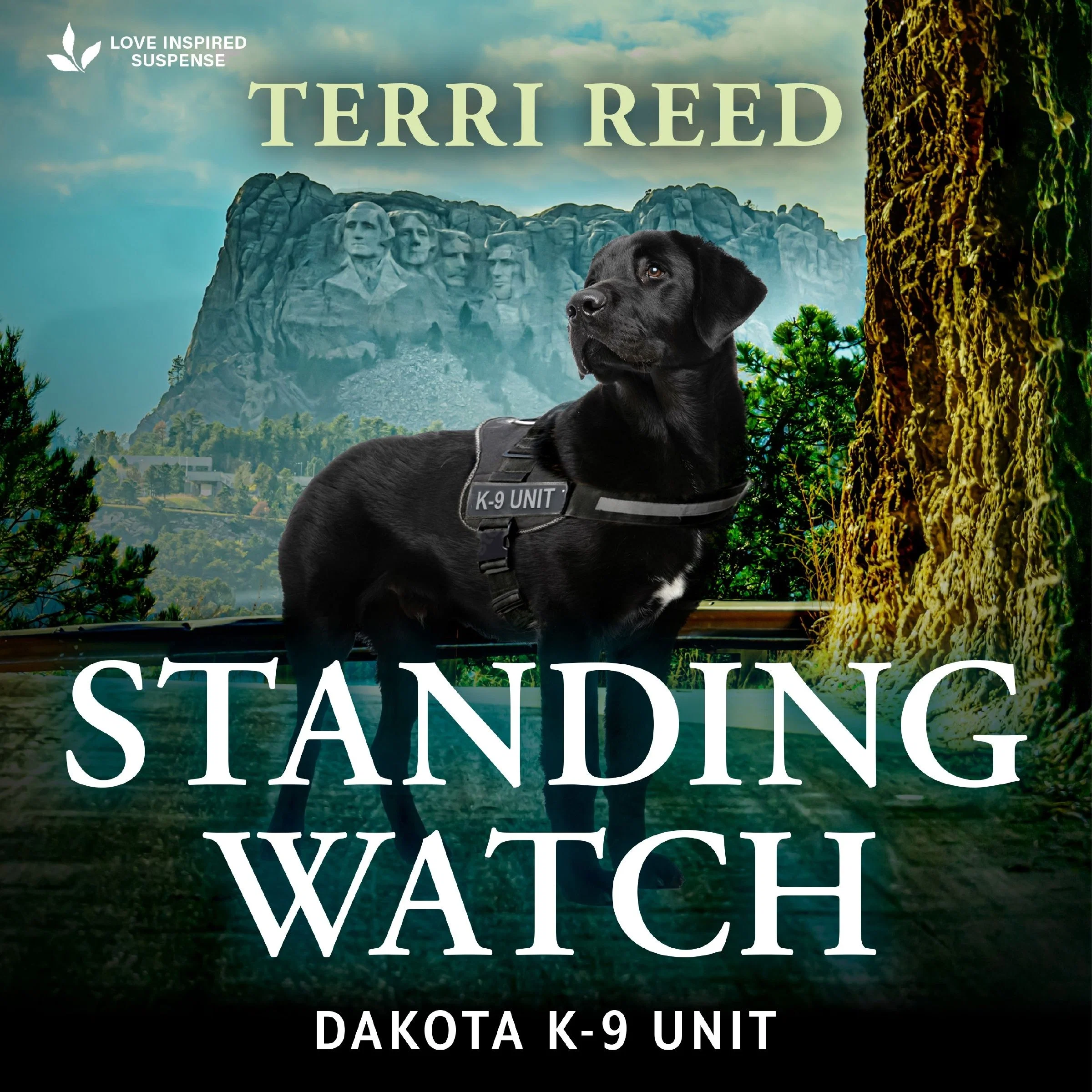 Standing Watch - Image 2