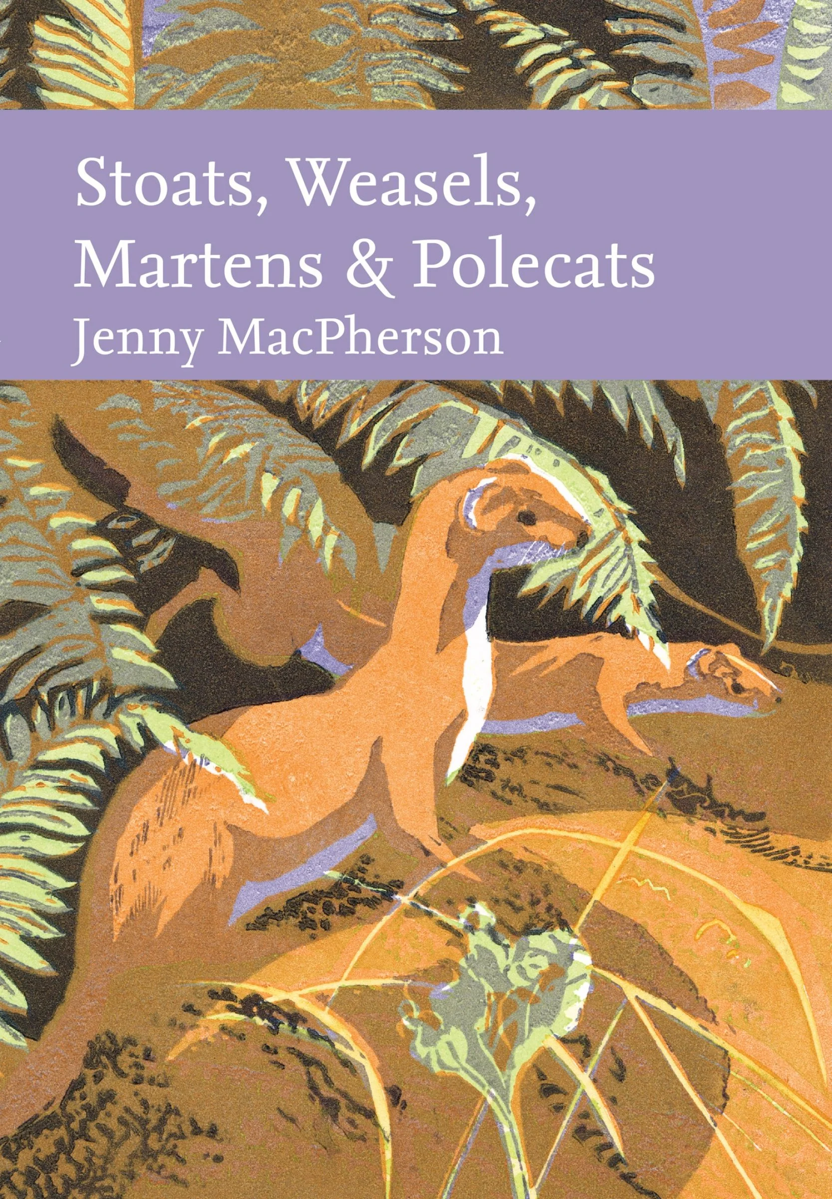 Stoats, Weasels, Martens and Polecats (Collins New Naturalist Library) - Image 4