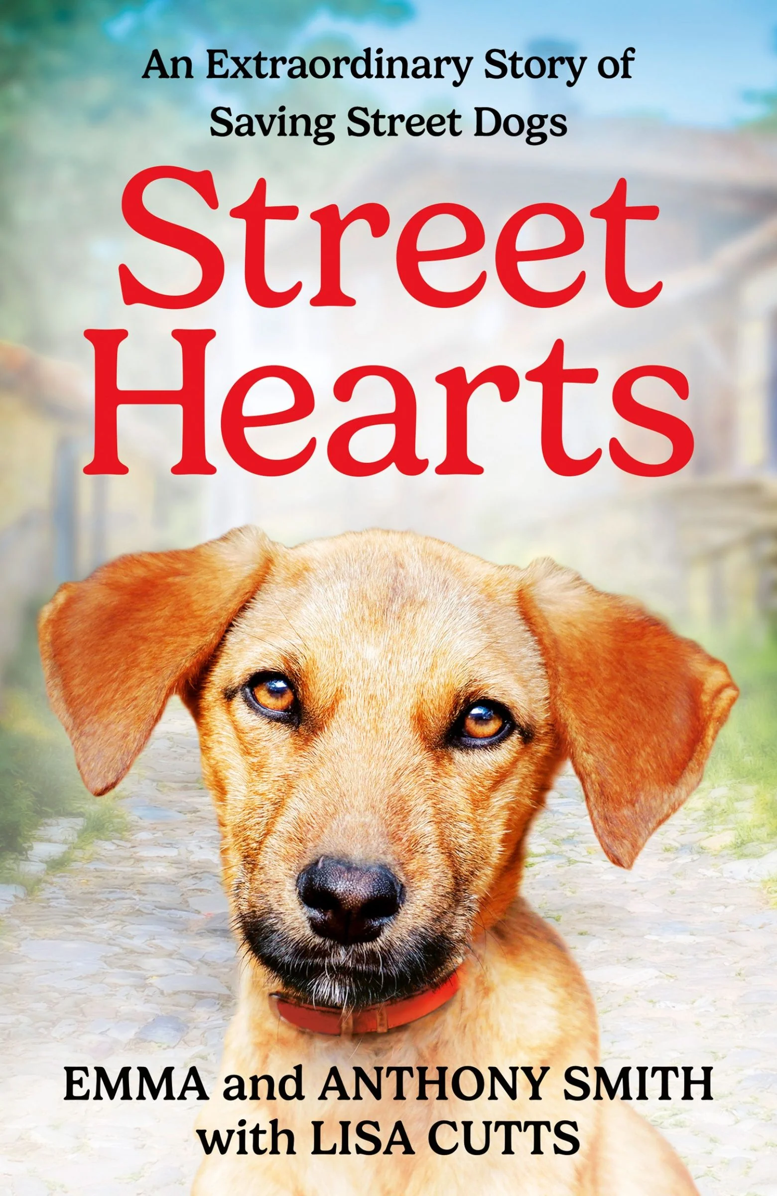 Street Hearts: An Extraordinary Story of Saving Street Dogs - Image 3