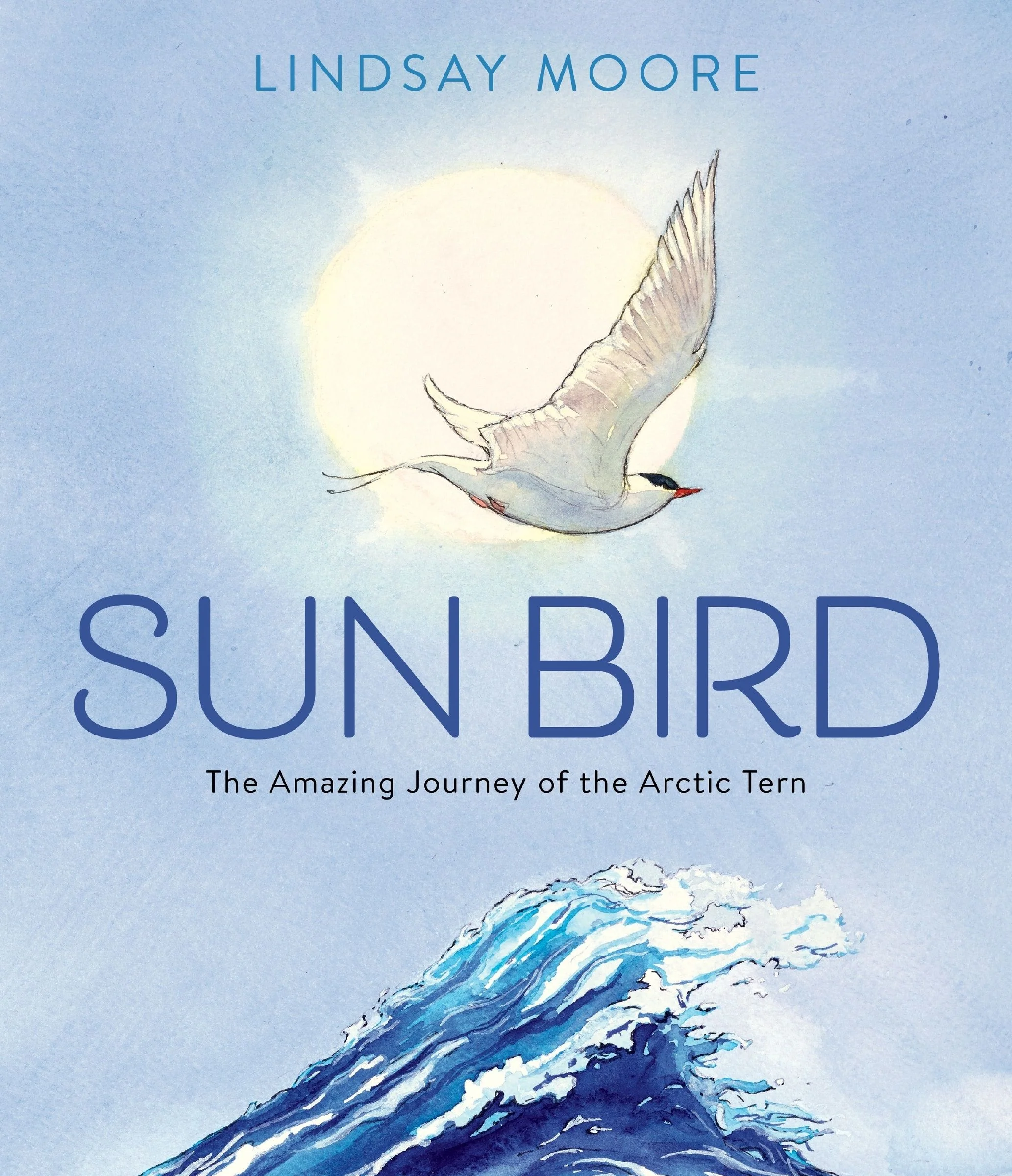 Sun Bird - Image 2