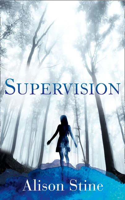 Supervision - Image 3