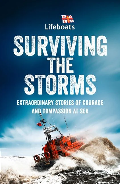 Surviving the Storms - Image 2