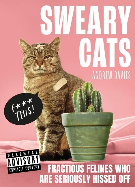 Sweary Cats - Image 3