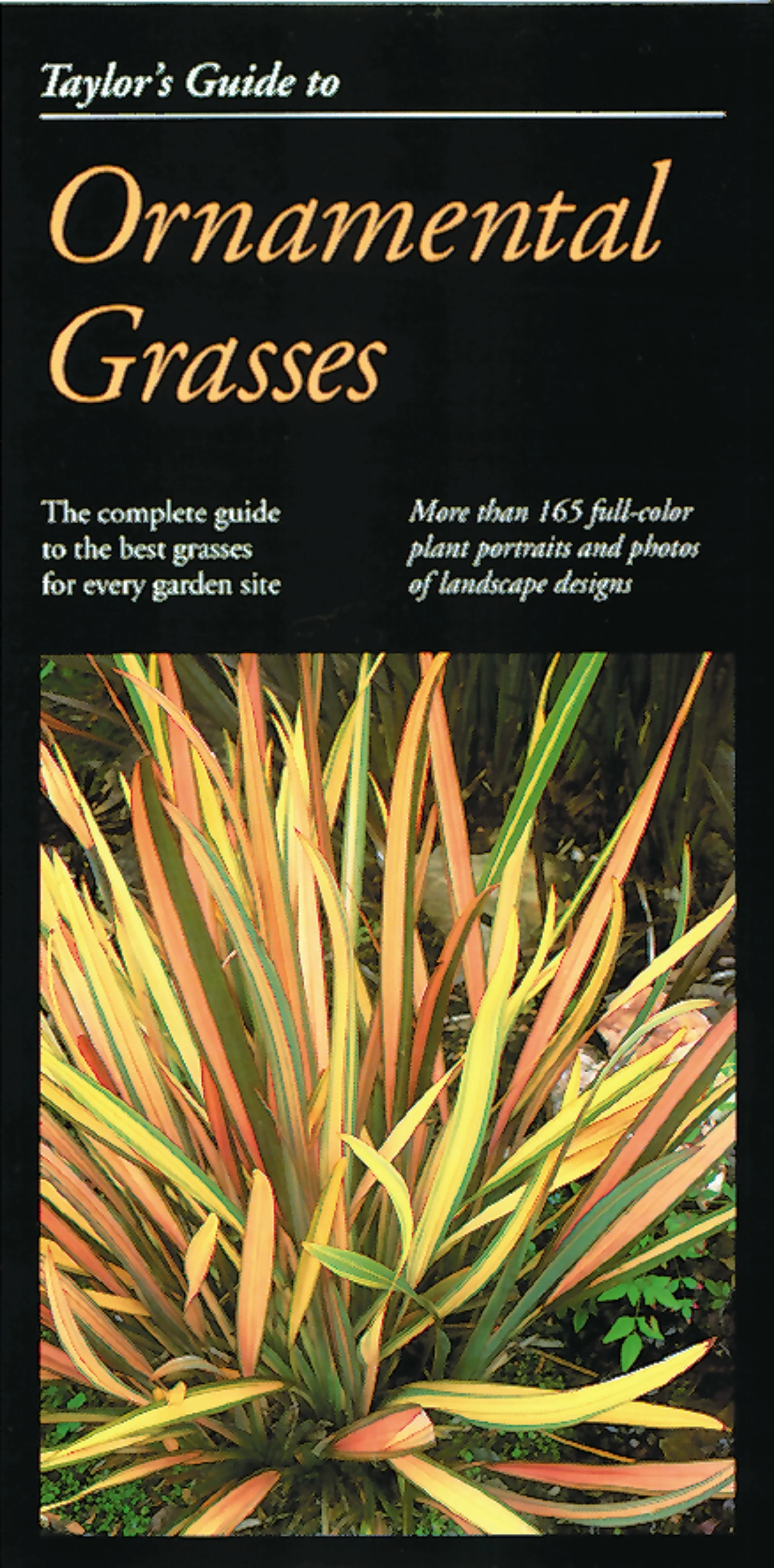 Taylor's Guide To Ornamental Grasses - Image 2