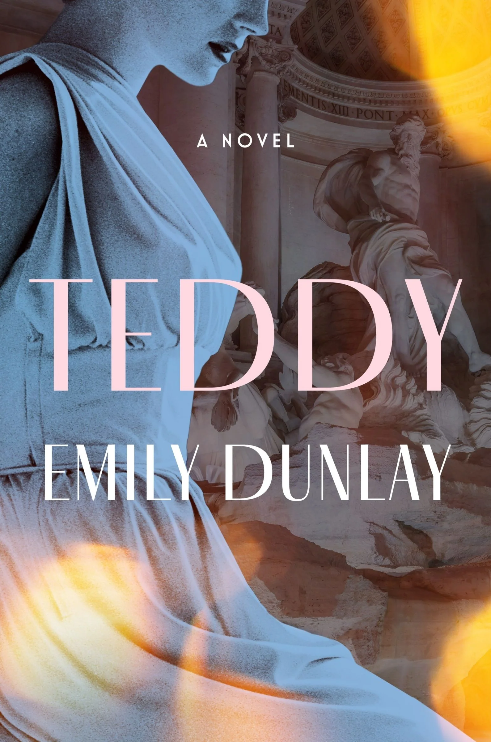 Teddy - Image 2