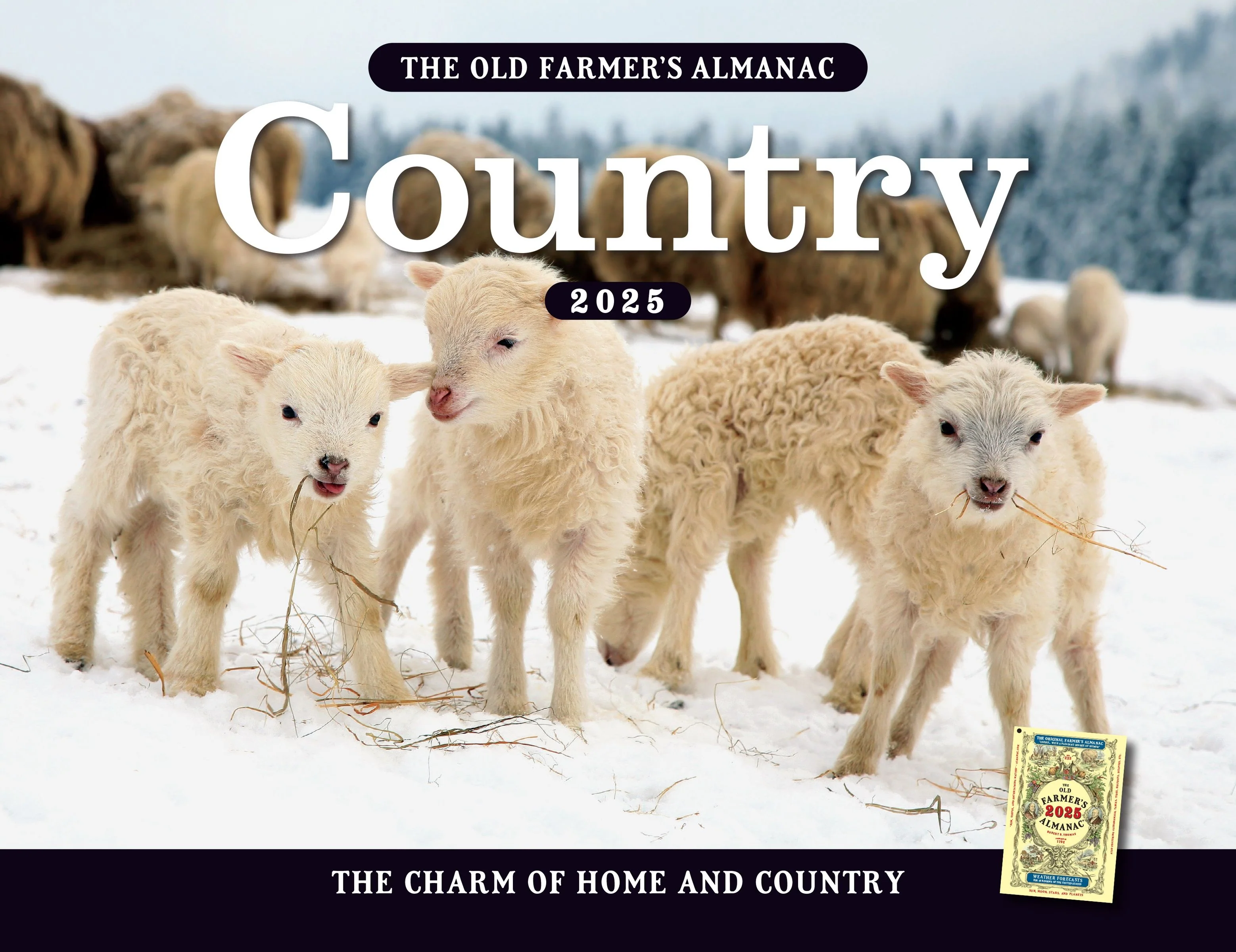 The 2025 Old Farmer's Almanac Country Wall Calendar - Image 2