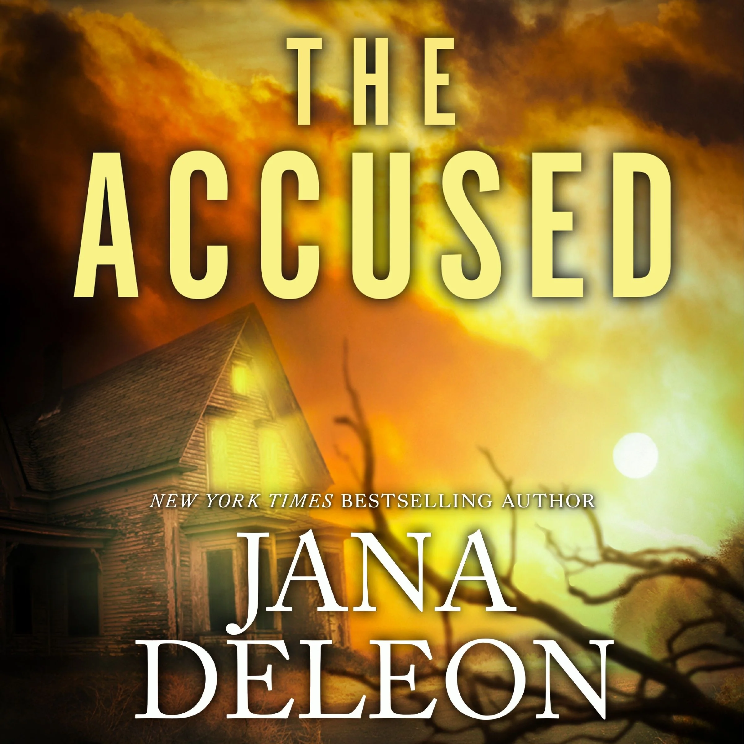 The Accused - Image 2