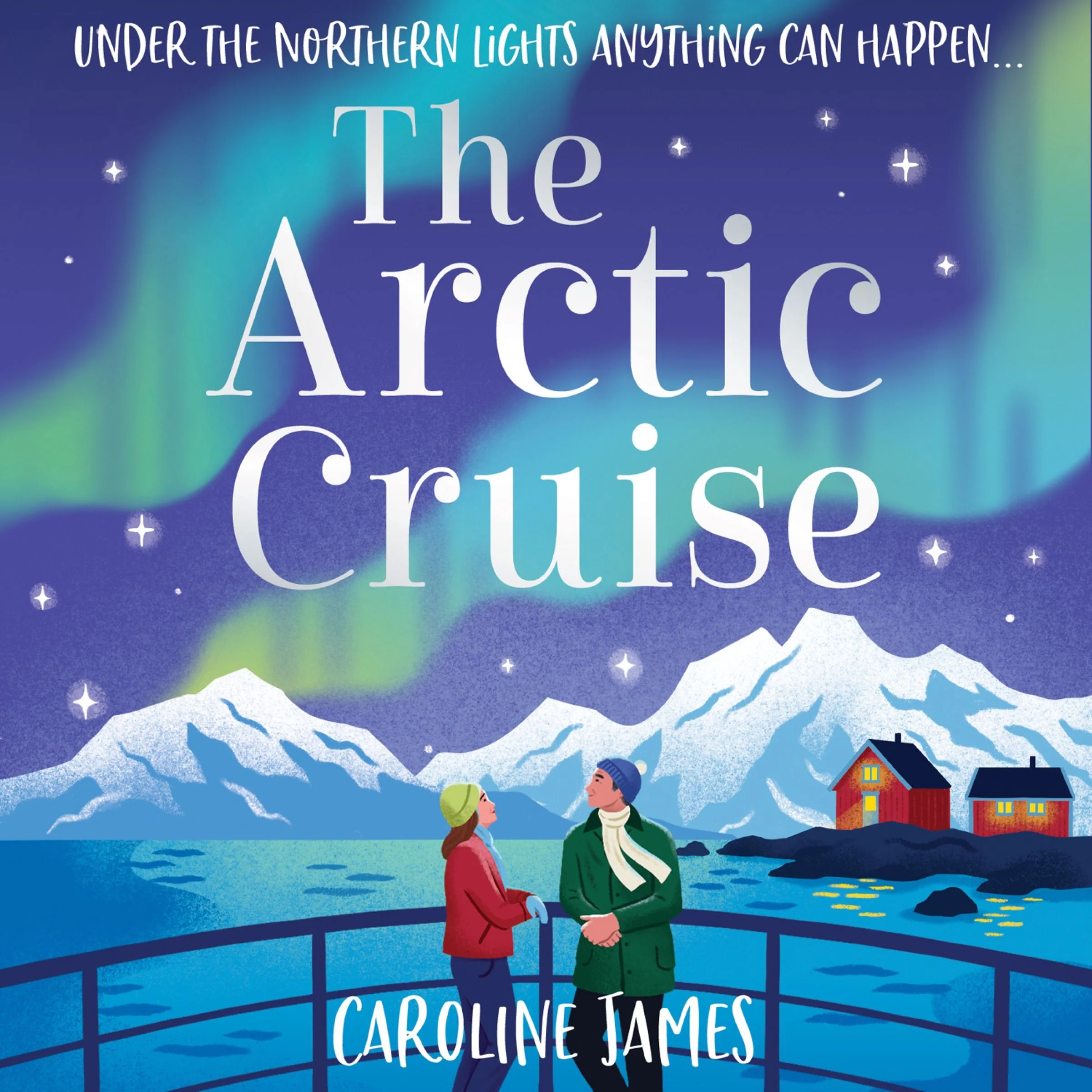 The Arctic Cruise - Image 2