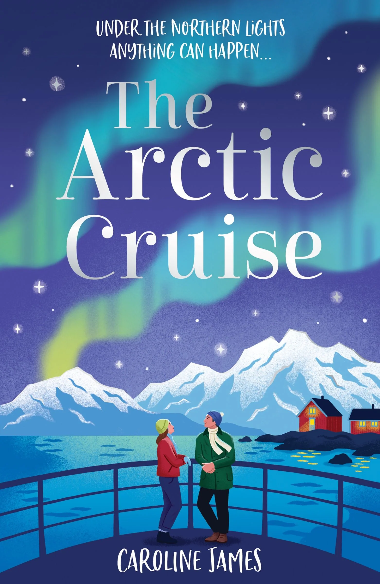 The Arctic Cruise - Image 4