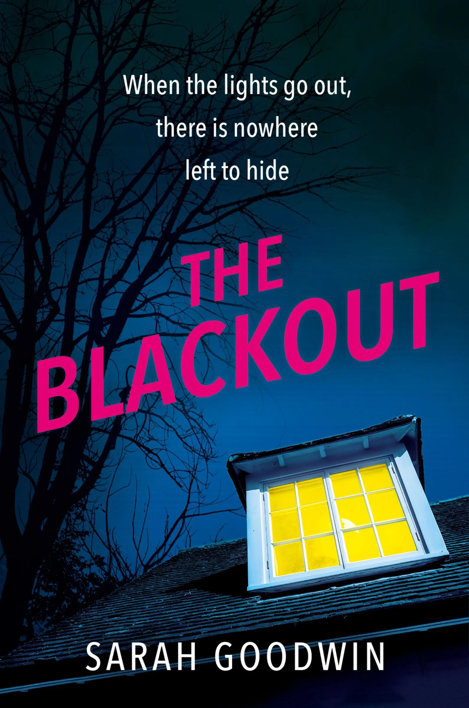 The Blackout - Image 2