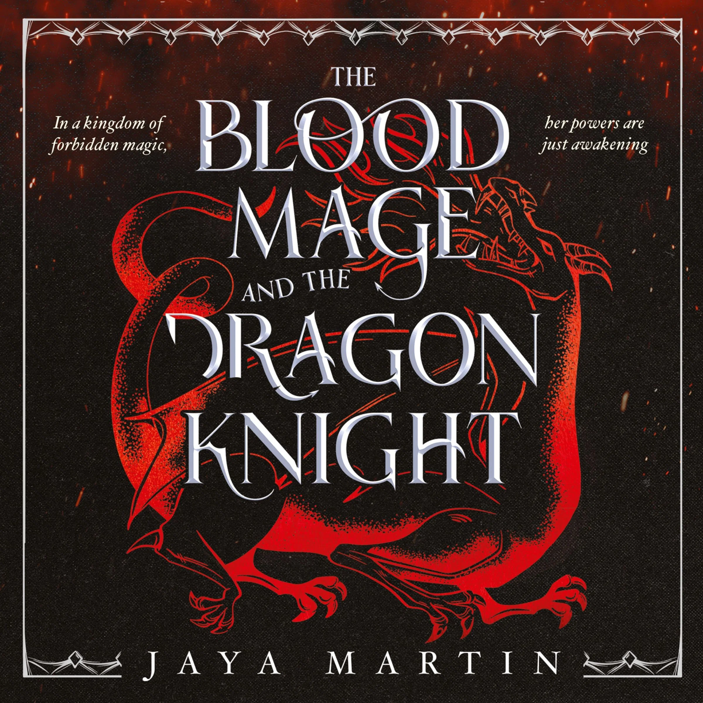 The Blood Mage and the Dragon Knight (The Lone Wolf, Book 1) - Image 3