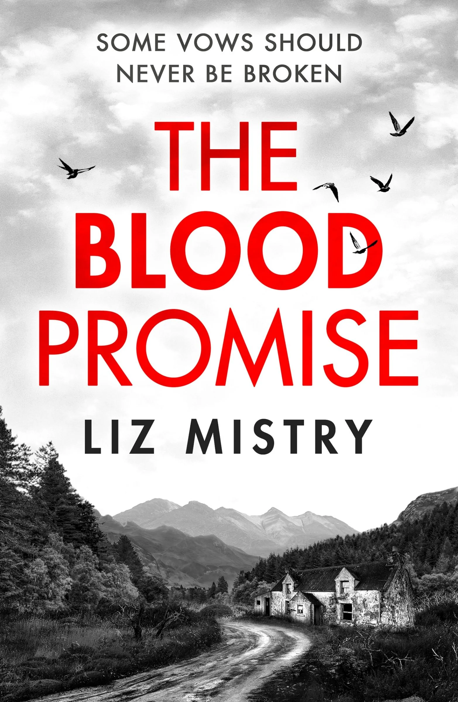 The Blood Promise (The Solanki and McQueen Crime Series, Book 1) - Image 3