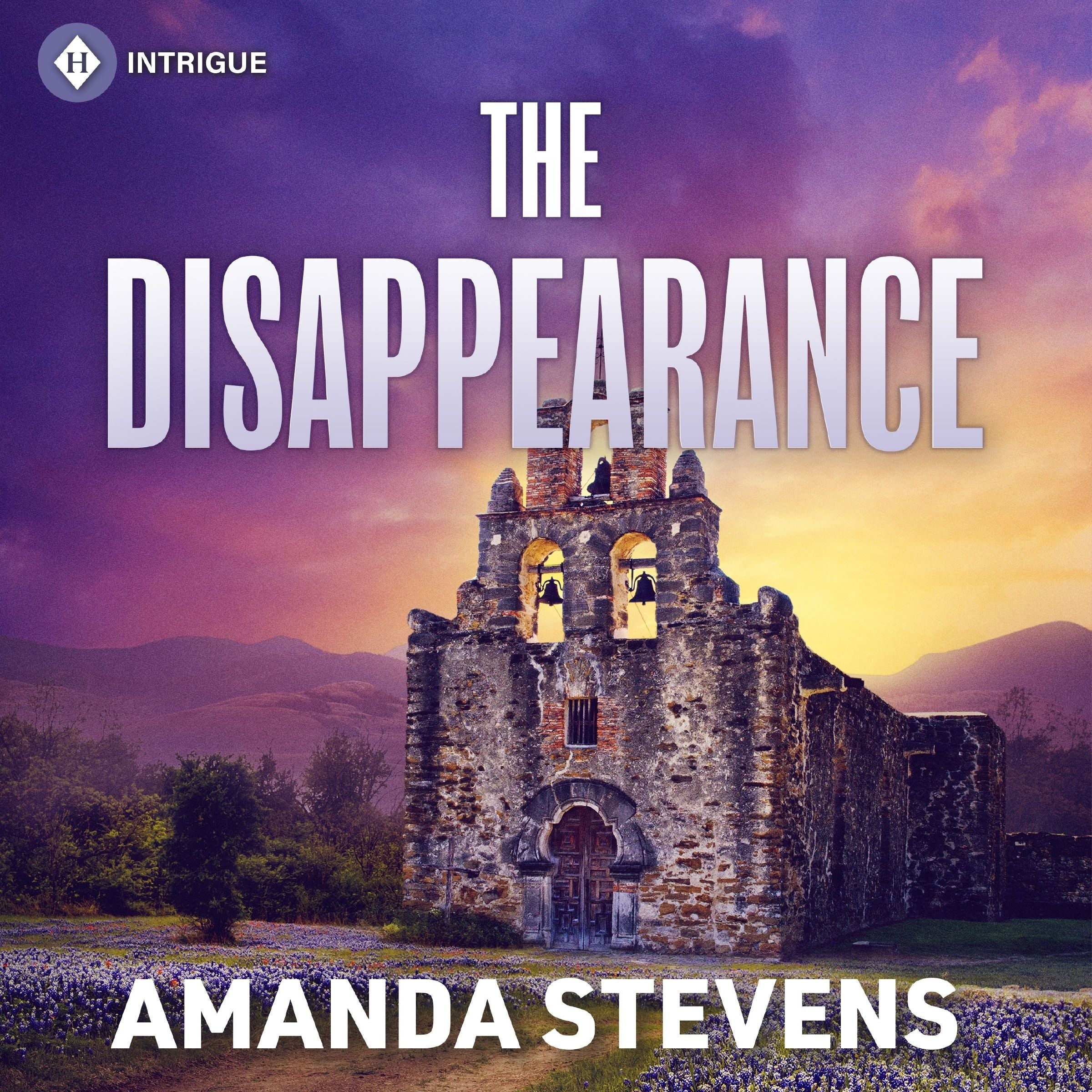The Disappearance - Image 2