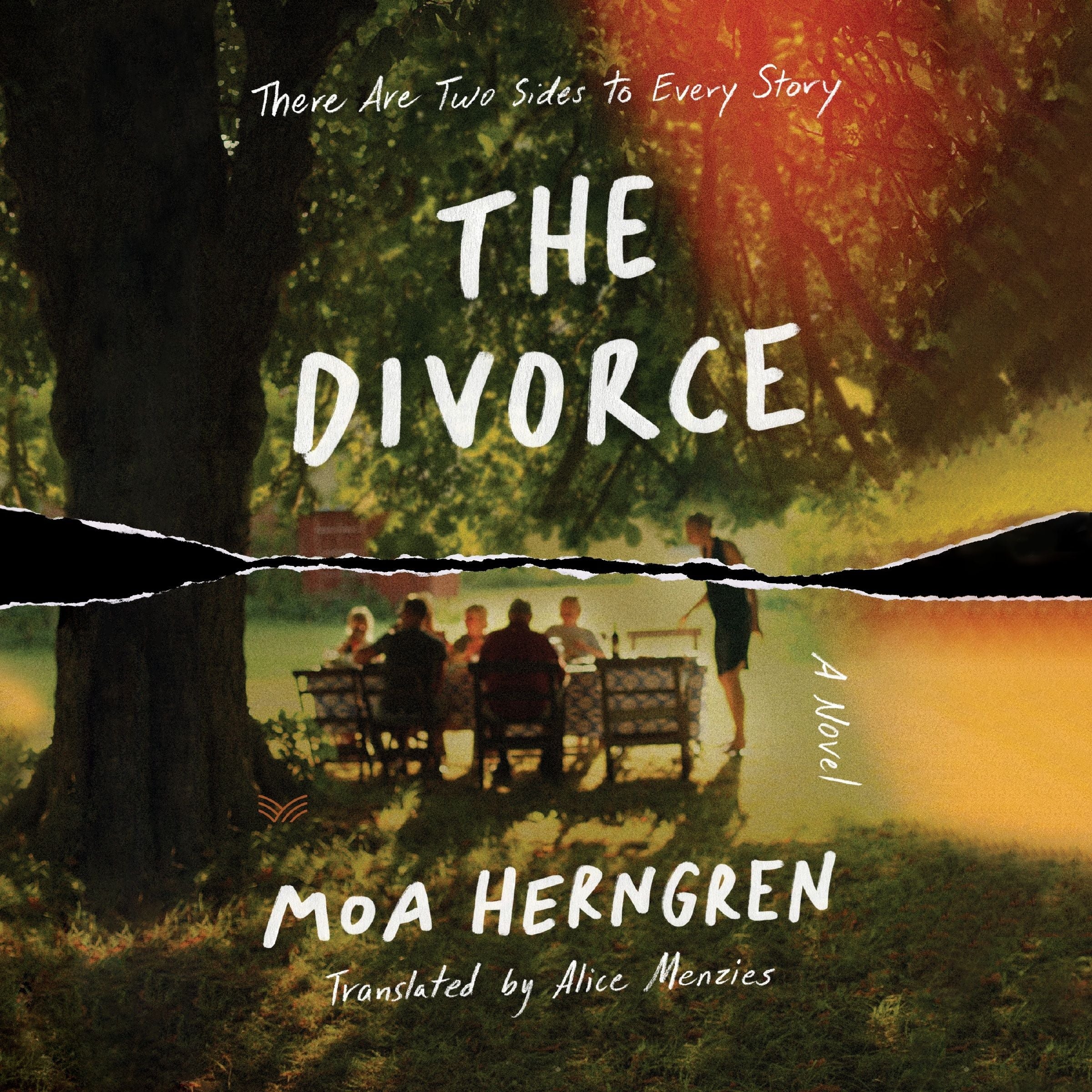The Divorce - Image 4