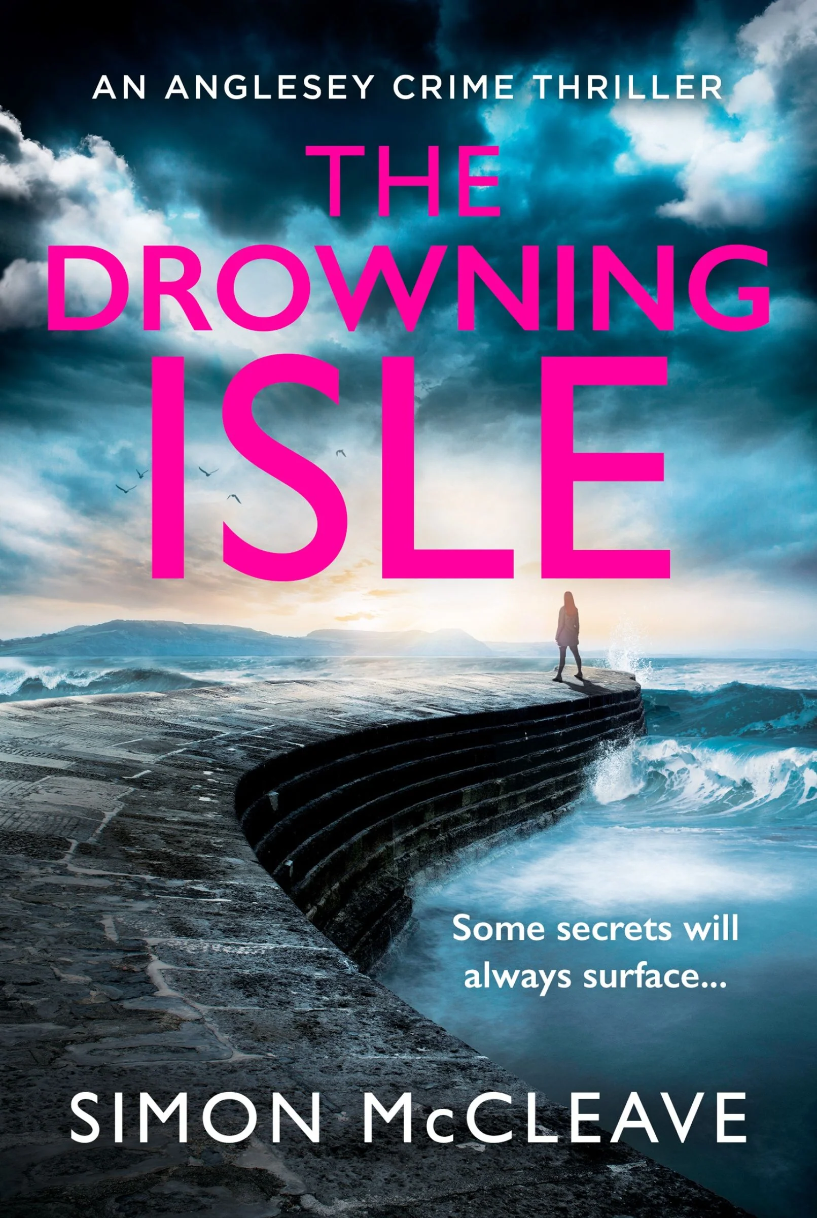 The Drowning Isle (The Anglesey Series, Book 4) - Image 4