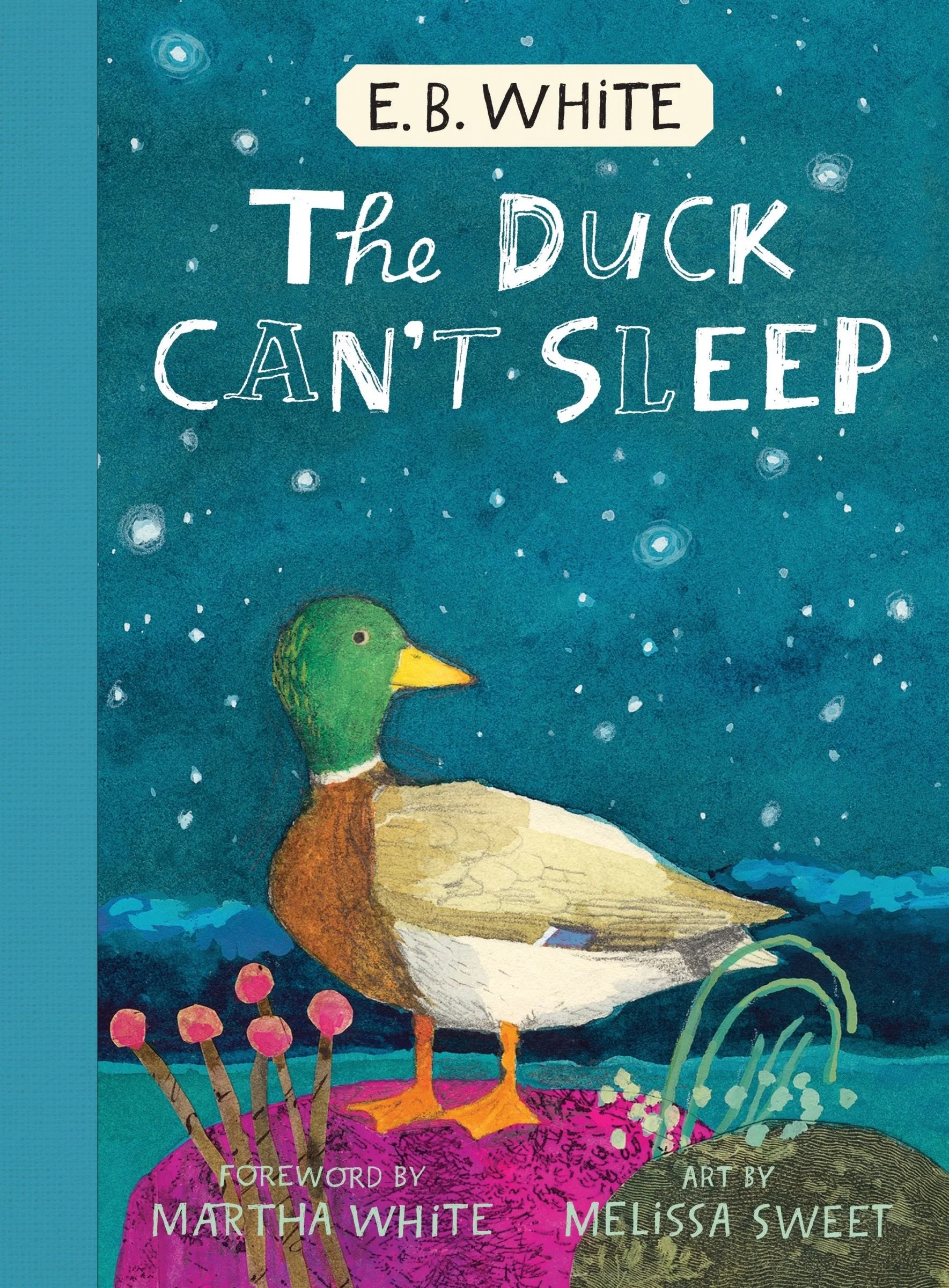 The Duck Can't Sleep - Image 2