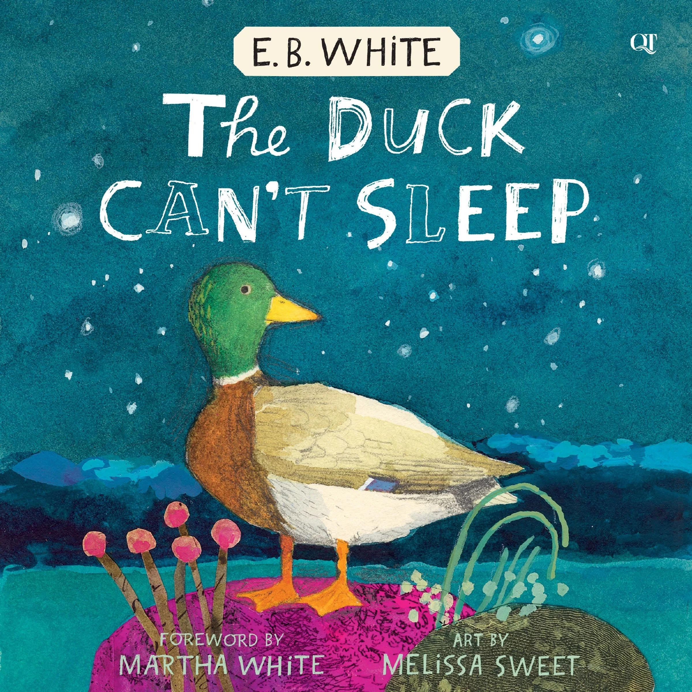 The Duck Can't Sleep - Image 3