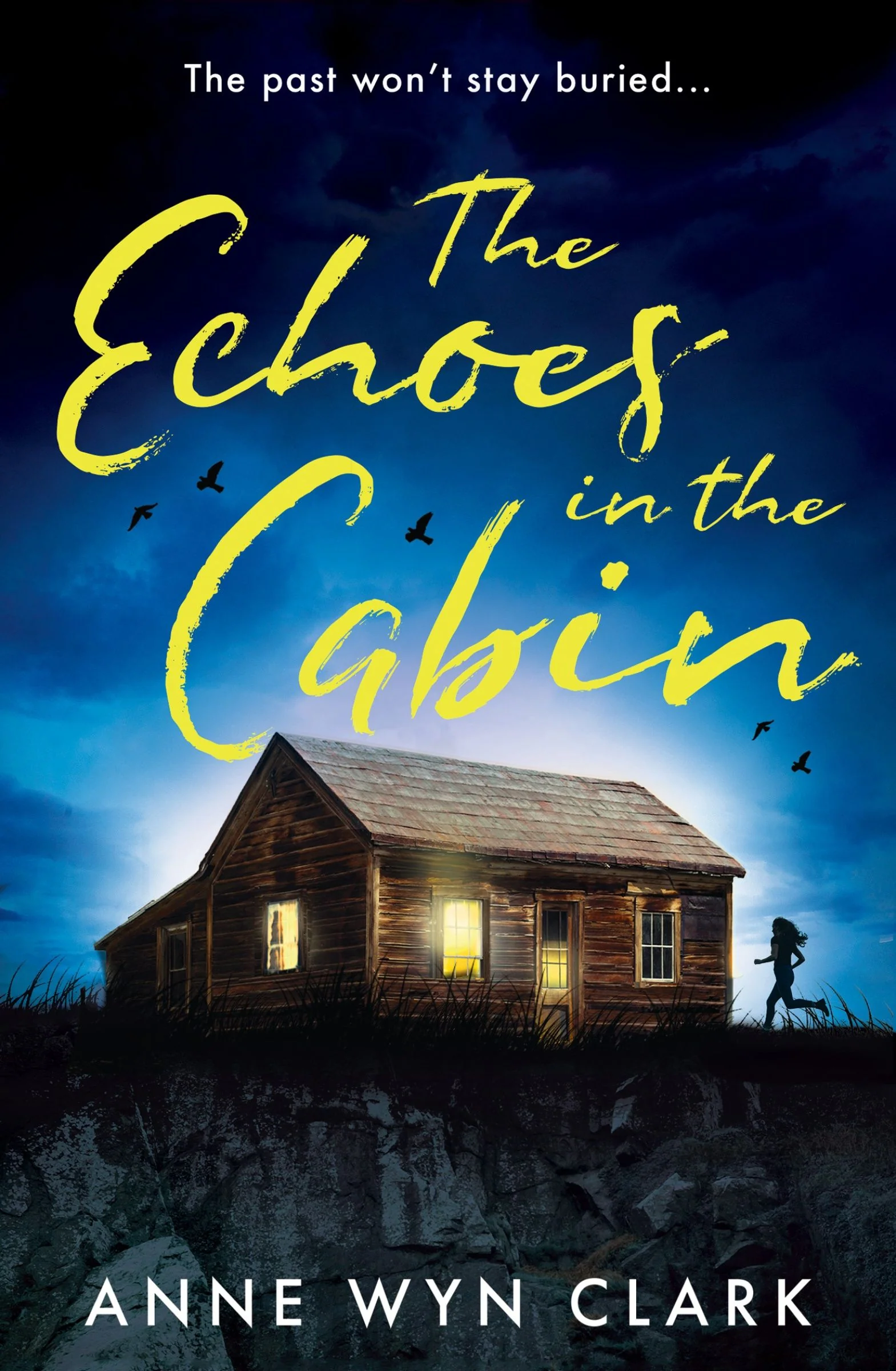 The Echoes in the Cabin - Image 4