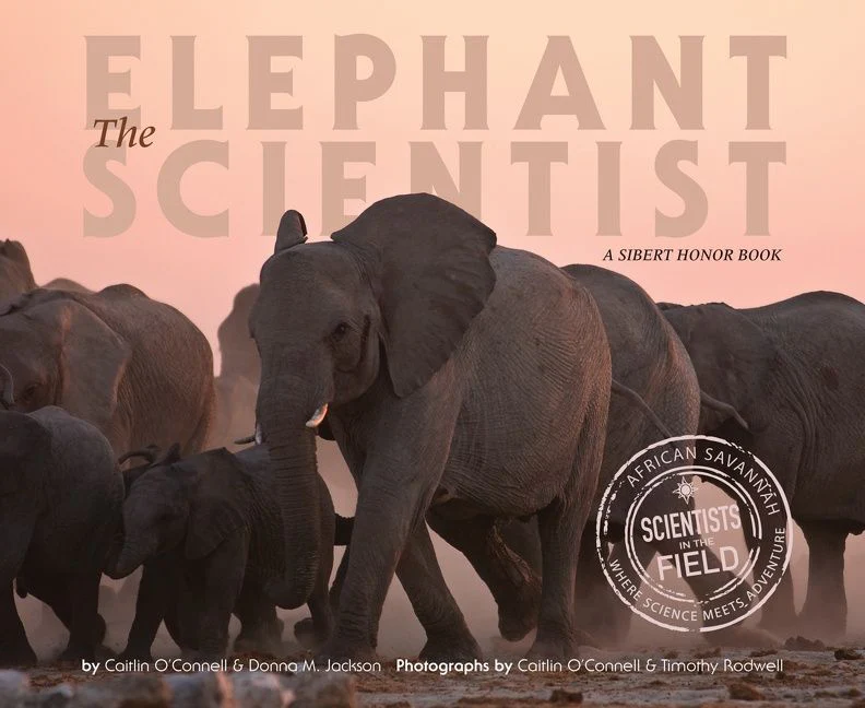 The Elephant Scientist - Image 3