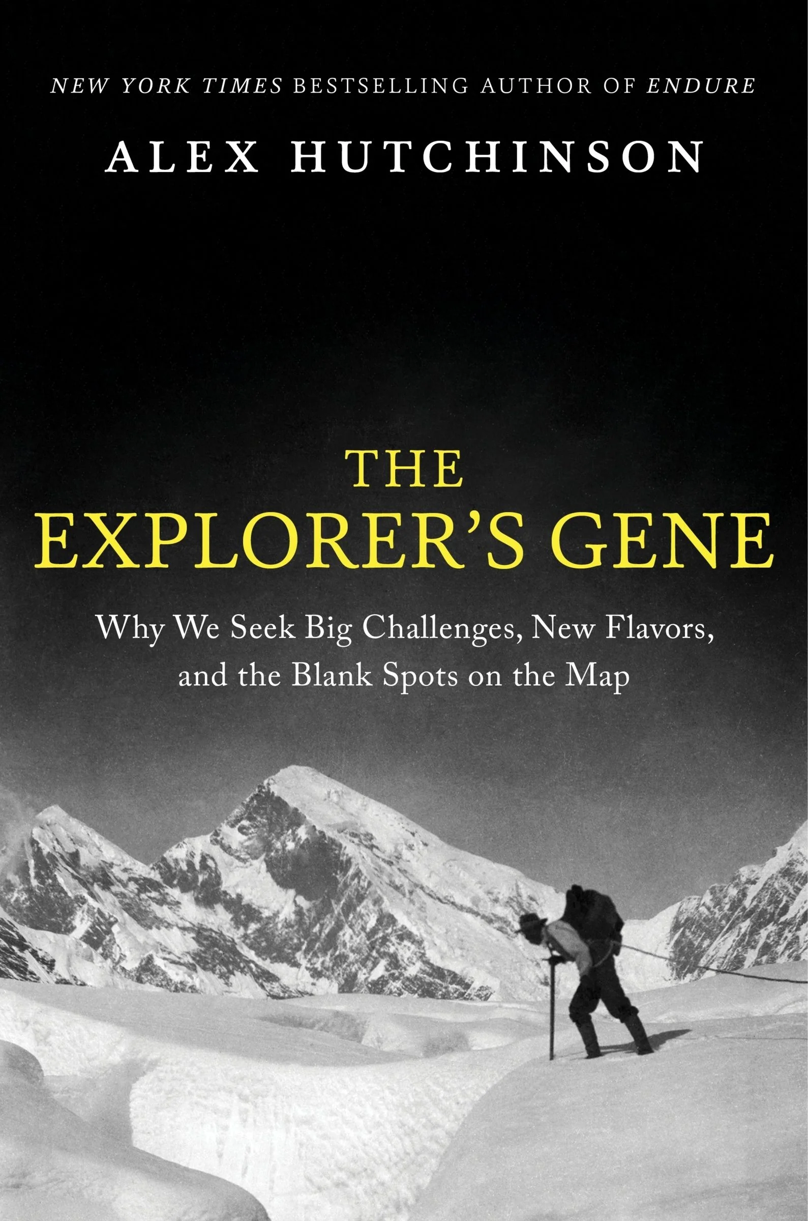 The Explorer's Gene - Image 2