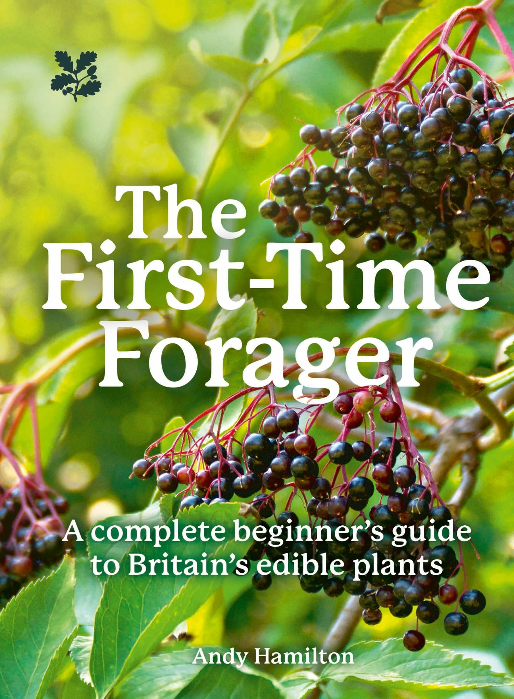 The First-Time Forager: A Complete Beginner’s Guide to Britain’s Edible Plants (National Trust) - Image 2