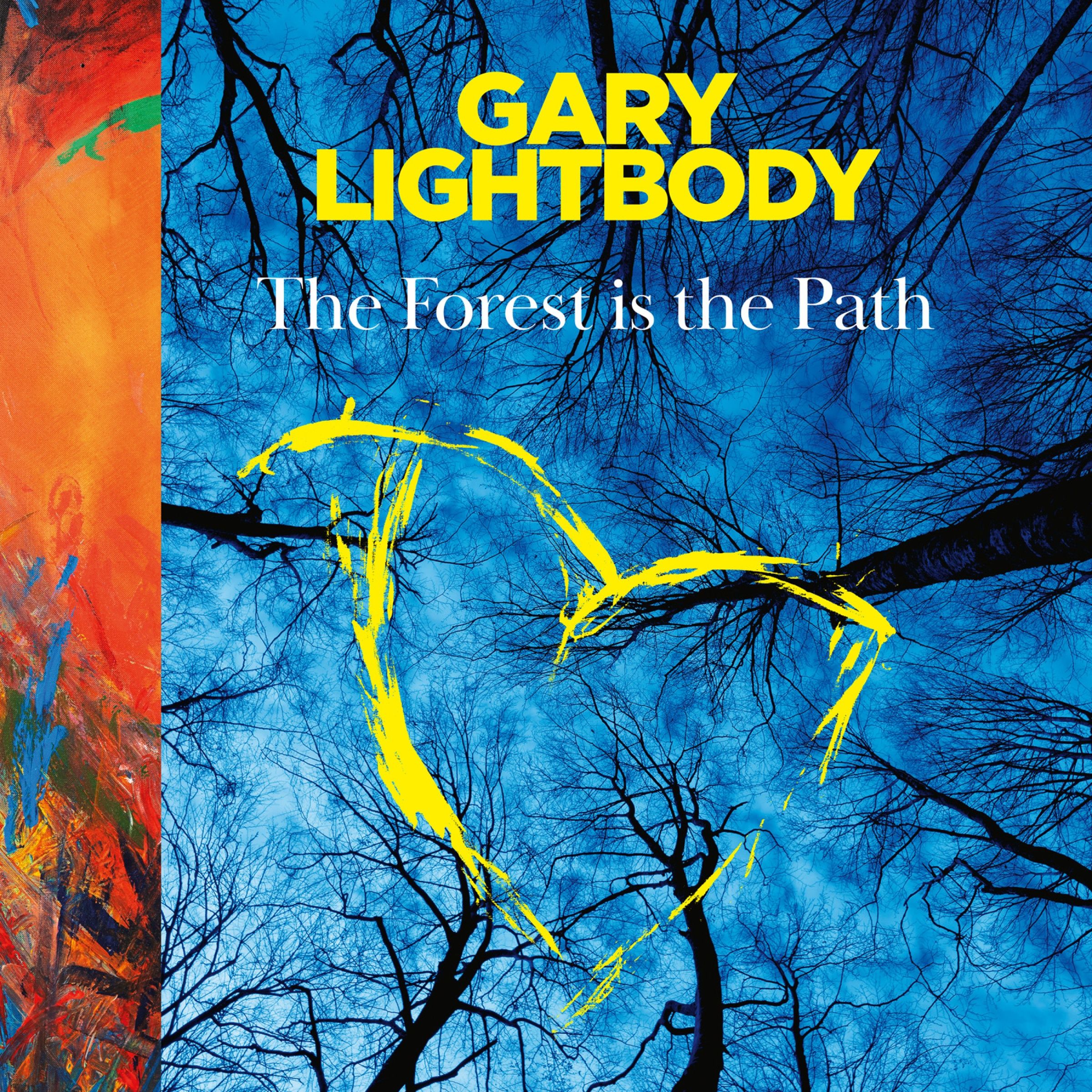 The Forest is the Path - Image 4