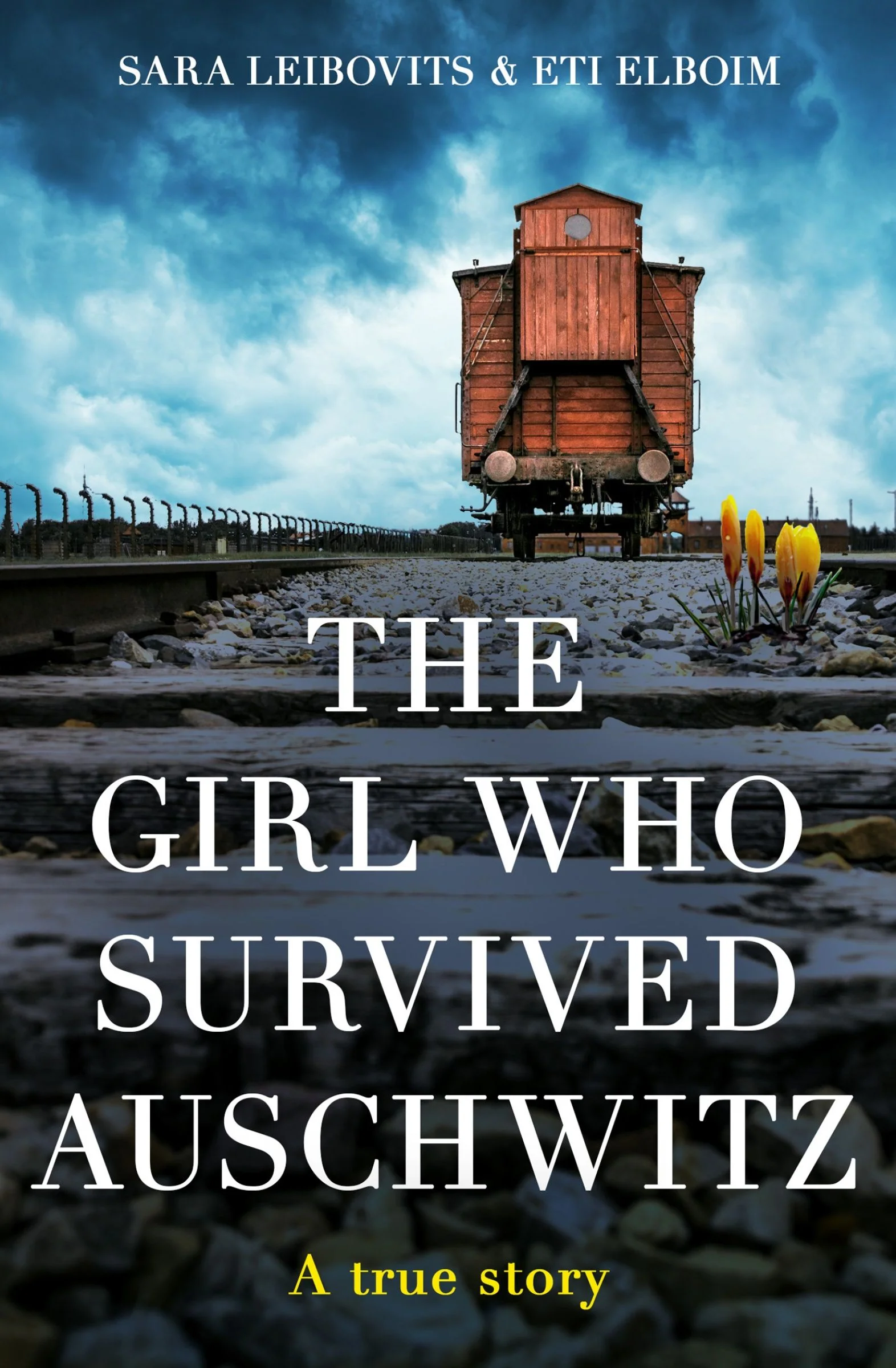 The Girl Who Survived Auschwitz - Image 3