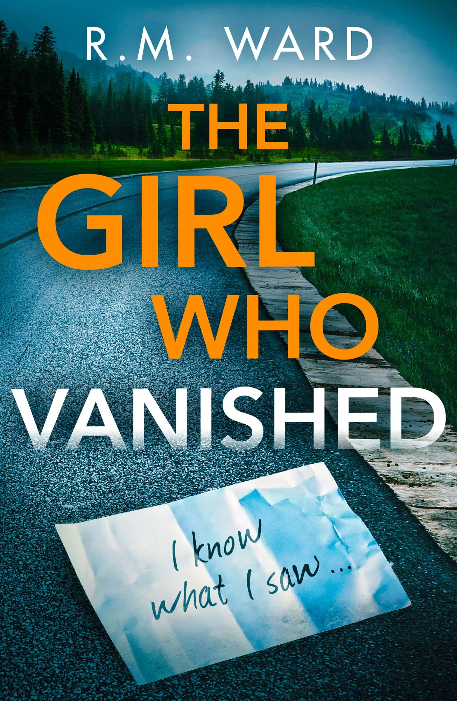The Girl Who Vanished - Image 3