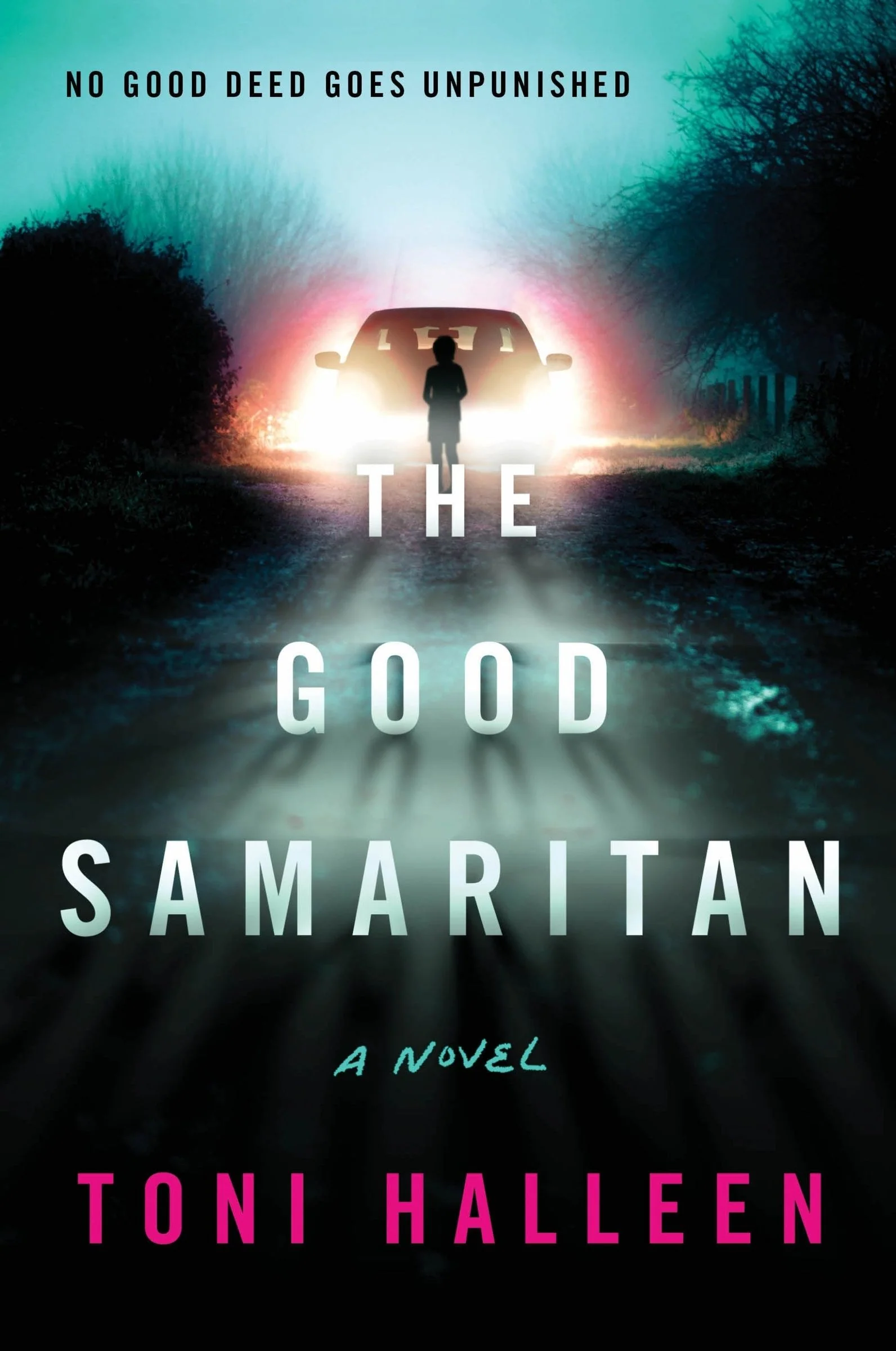 The Good Samaritan - Image 2
