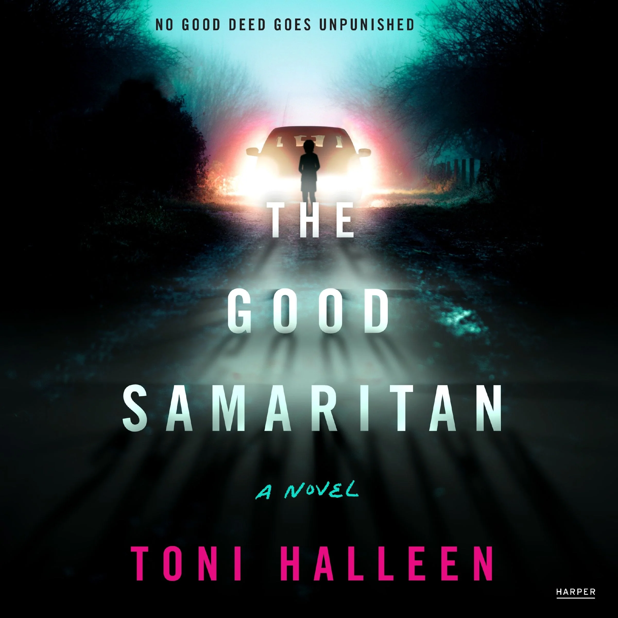 The Good Samaritan - Image 5