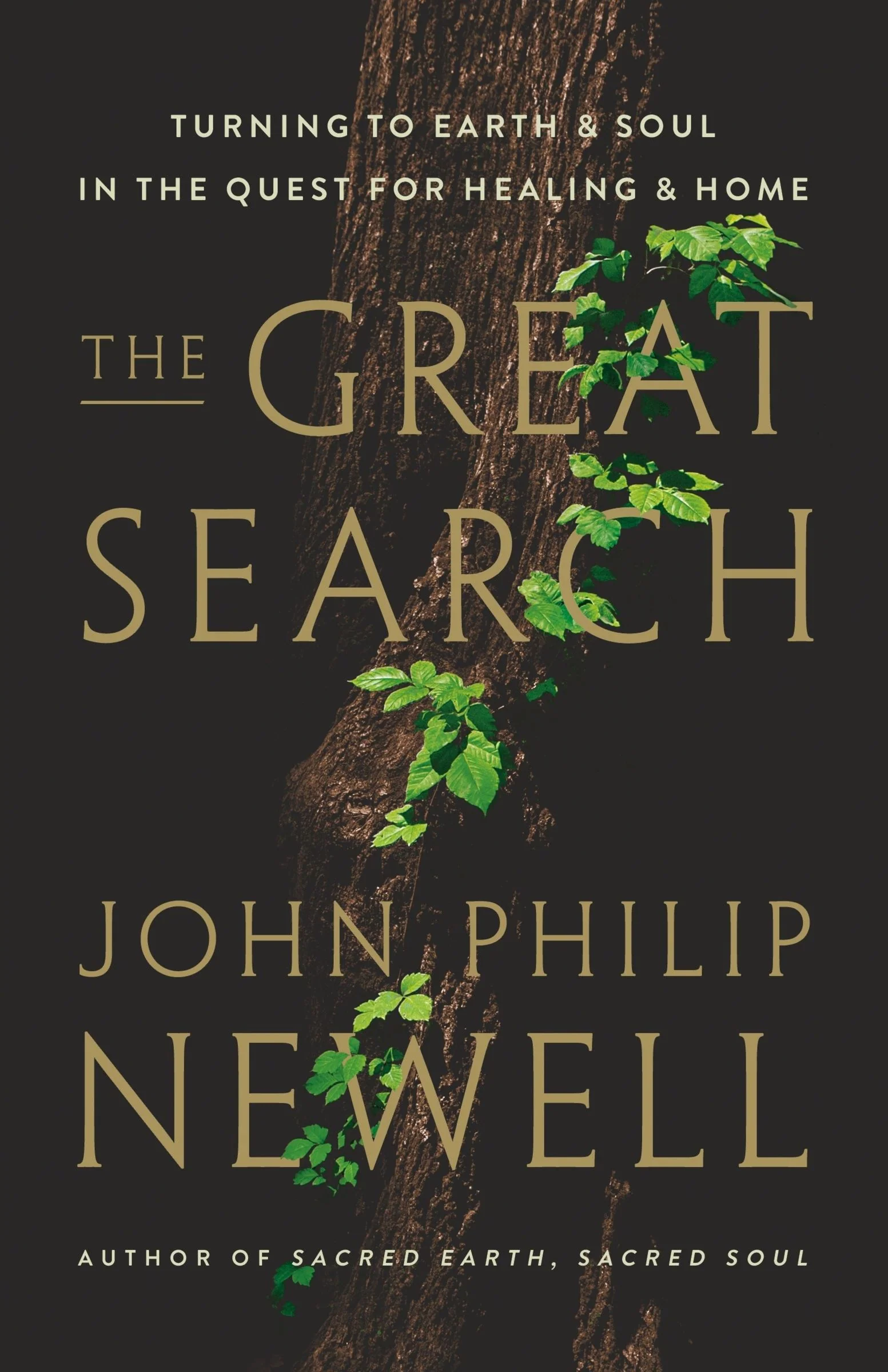The Great Search - Image 3