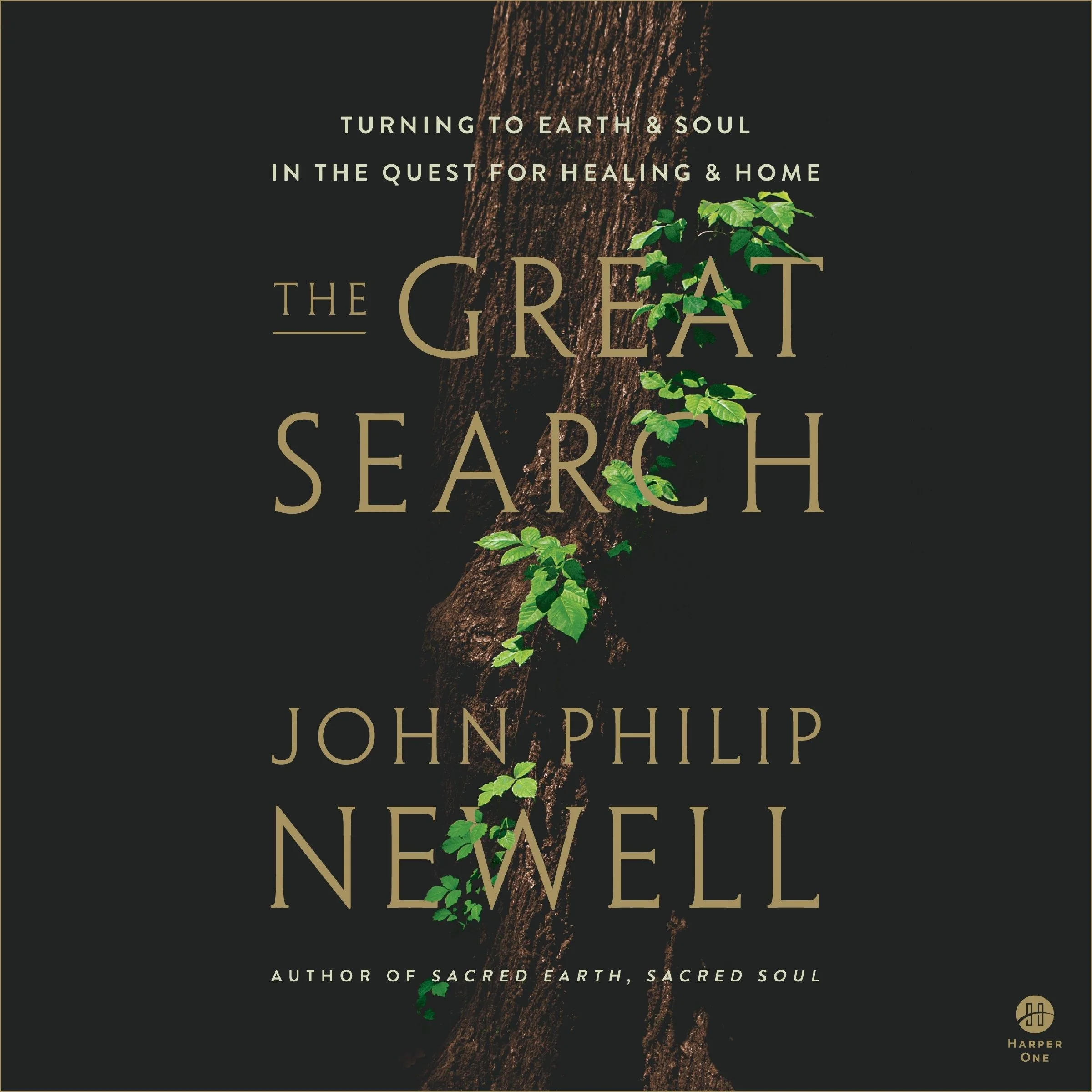 The Great Search - Image 4