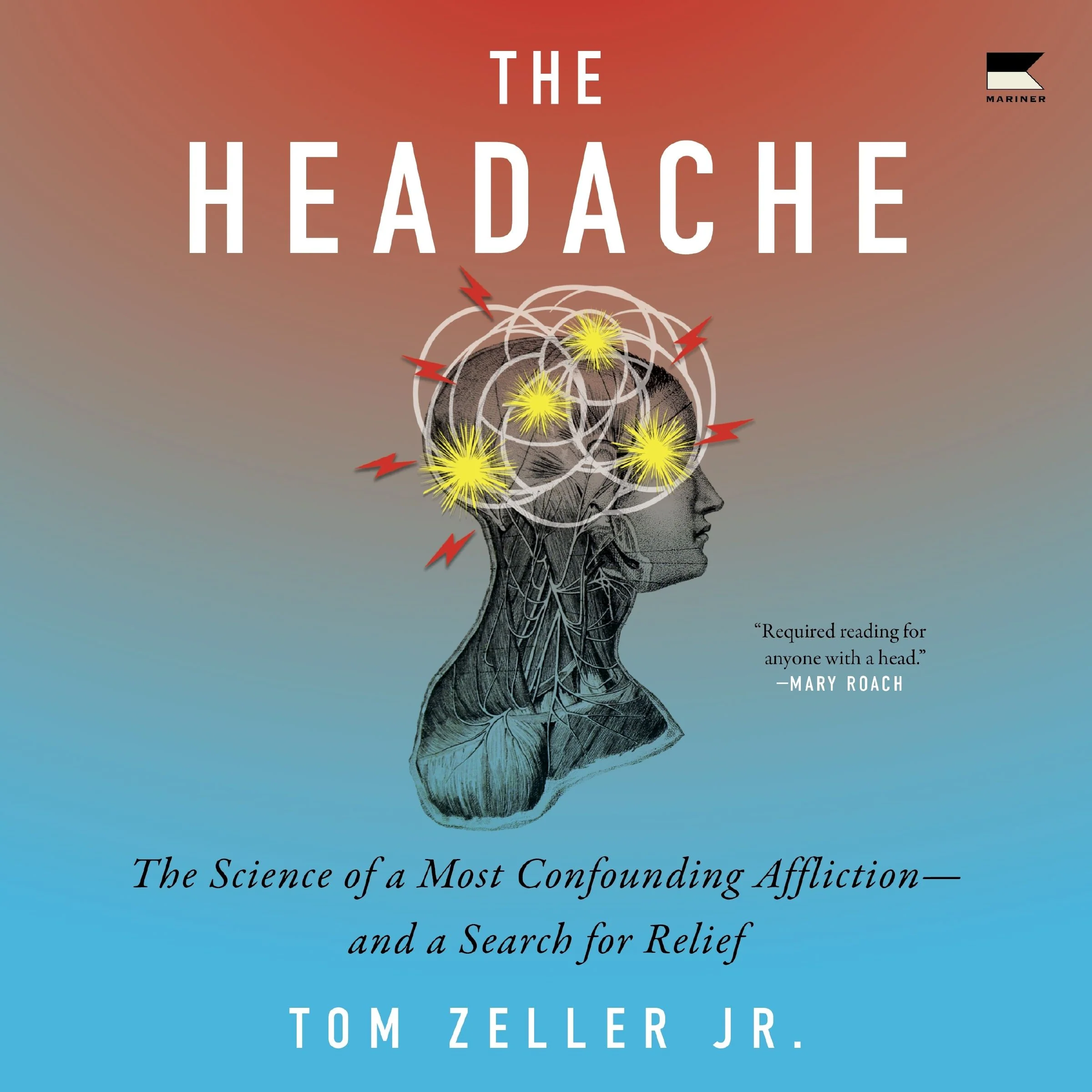The Headache - Image 3