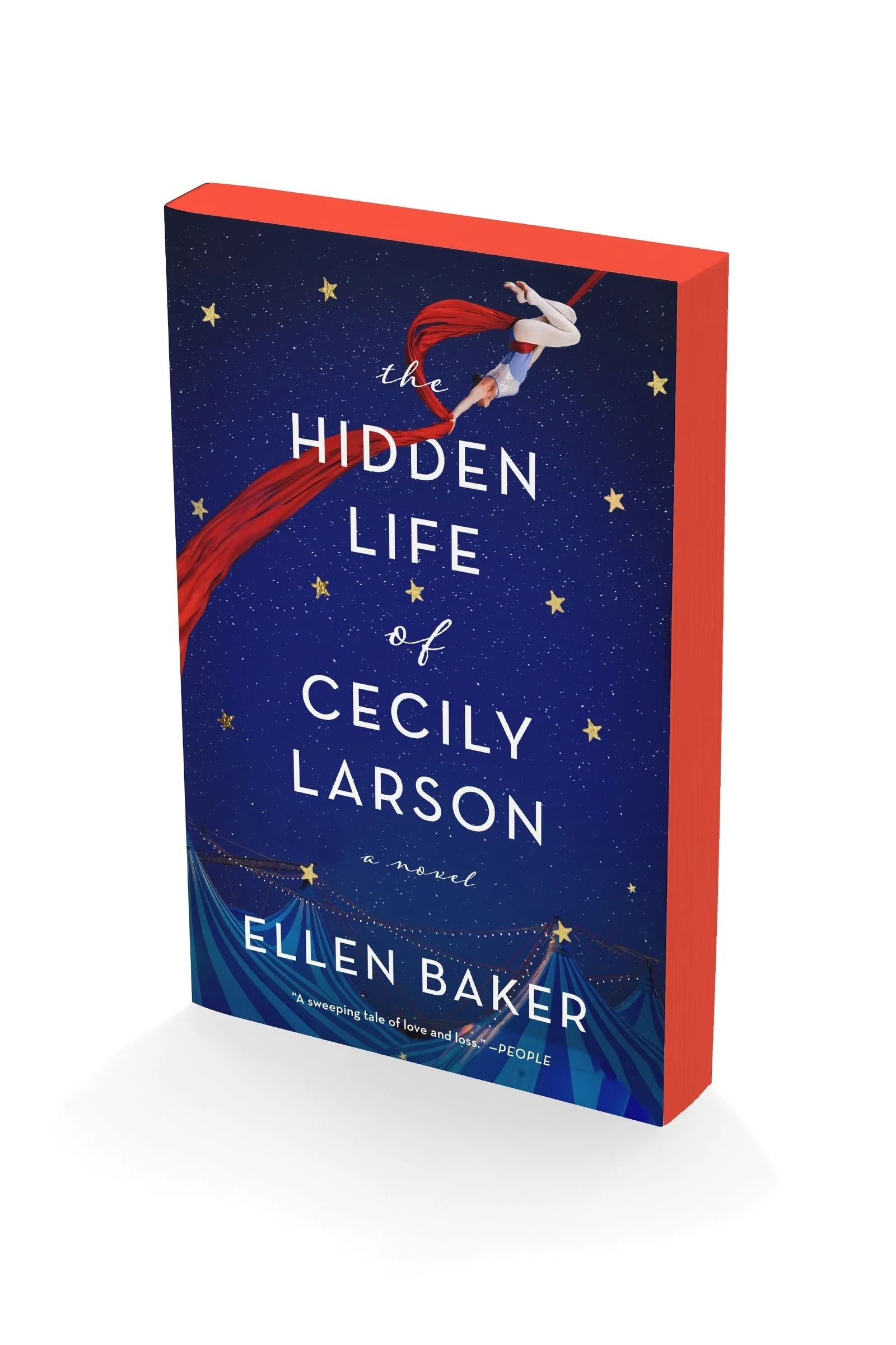The Hidden Life of Cecily Larson - Image 3