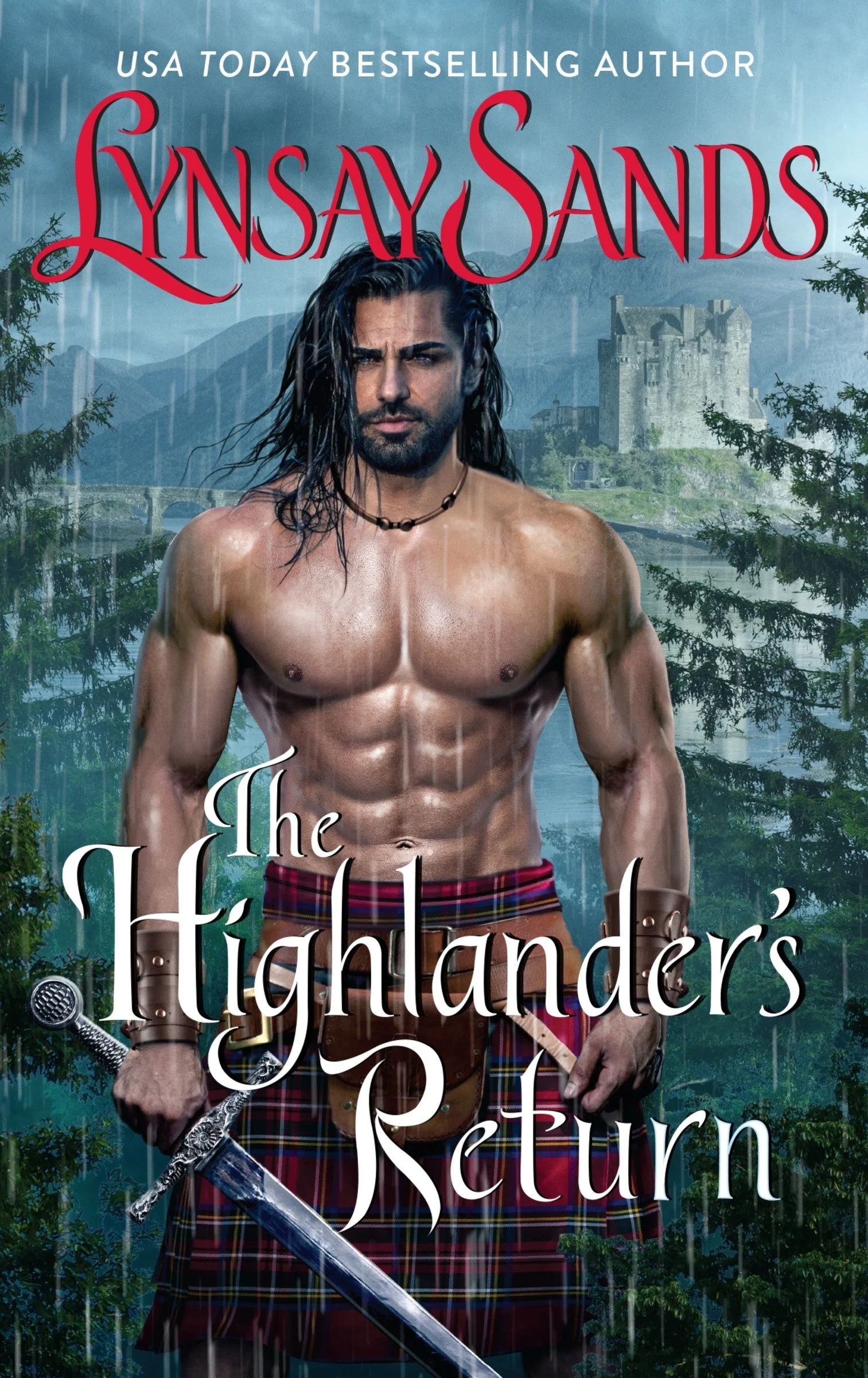 The Highlander's Return - Image 4