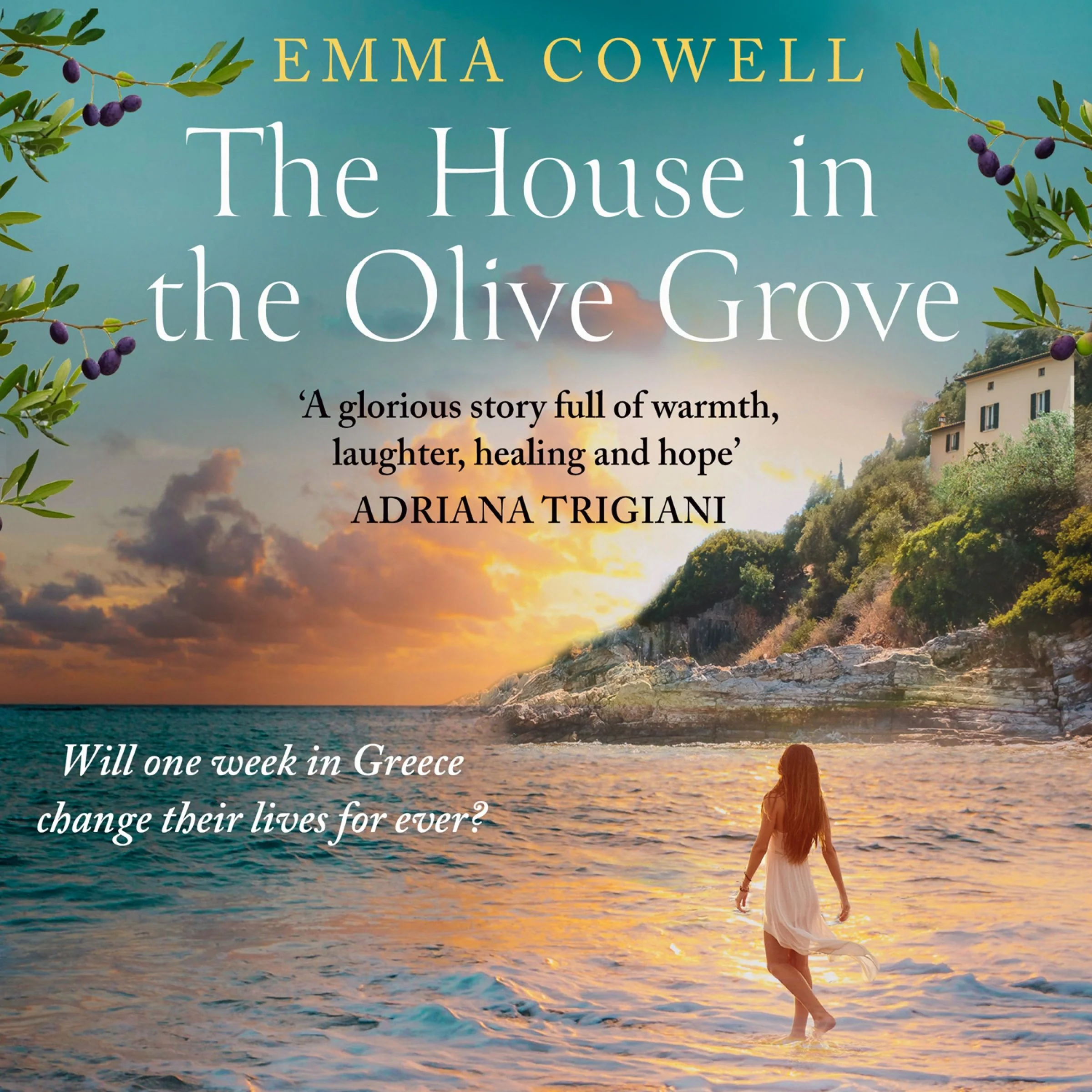 The House in the Olive Grove - Image 3