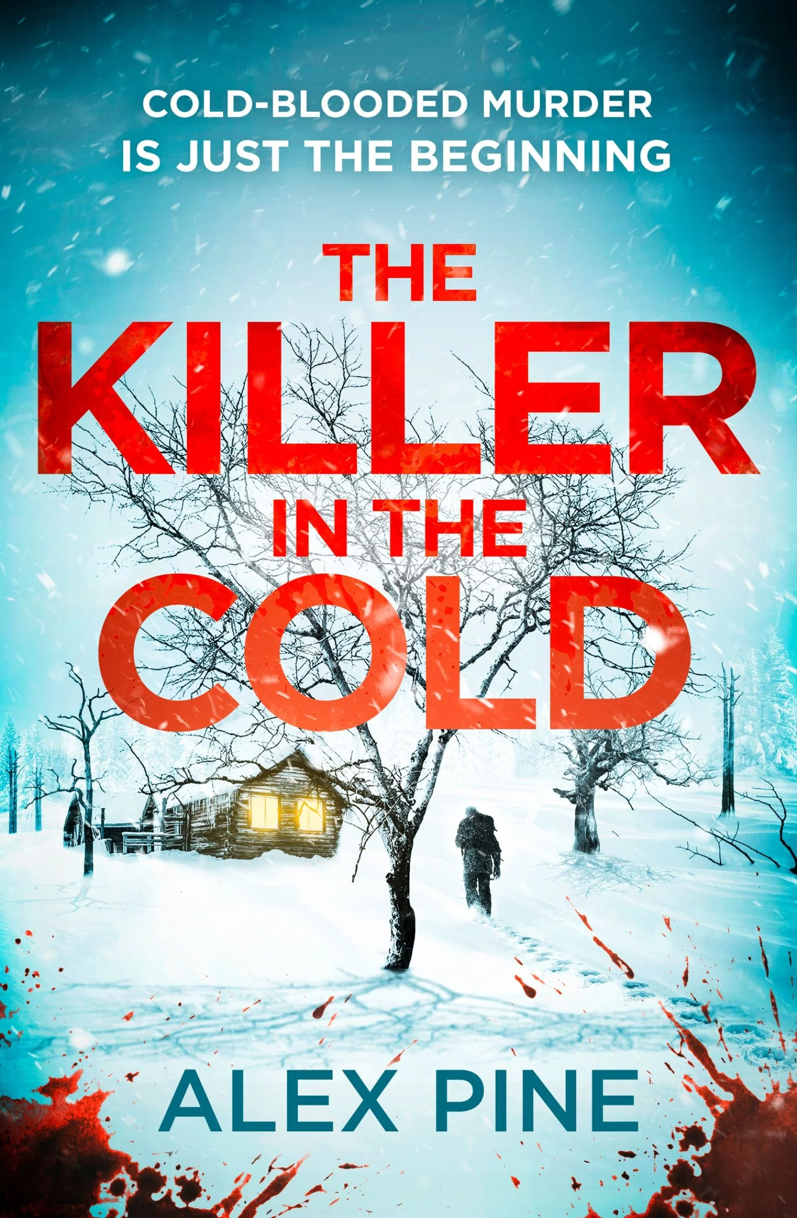 The Killer in the Cold (DI James Walker series, Book 5) - Image 3
