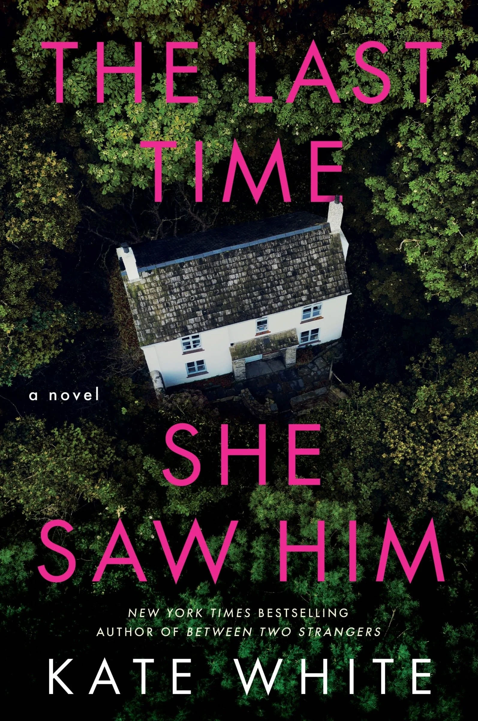 The Last Time She Saw Him - Image 2