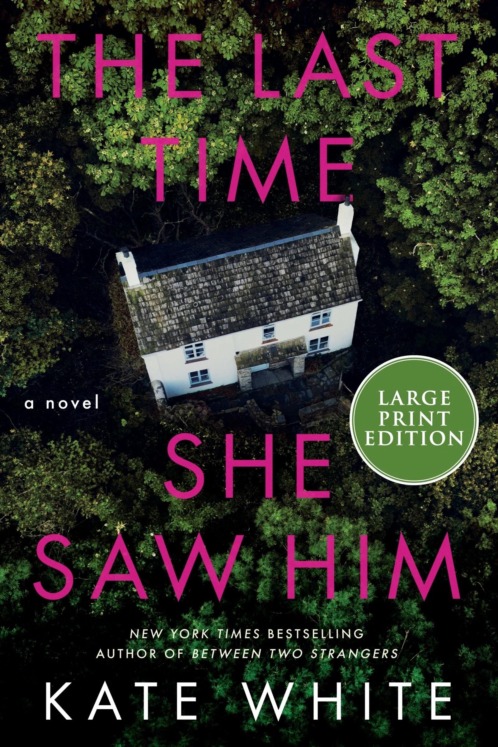 The Last Time She Saw Him - Image 4