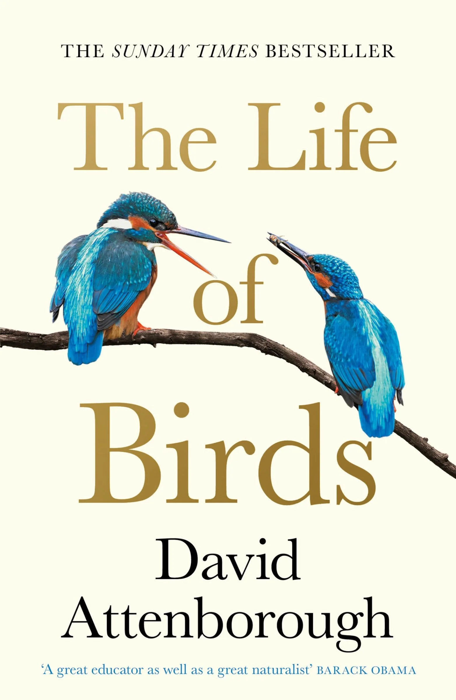 The Life of Birds - Image 5