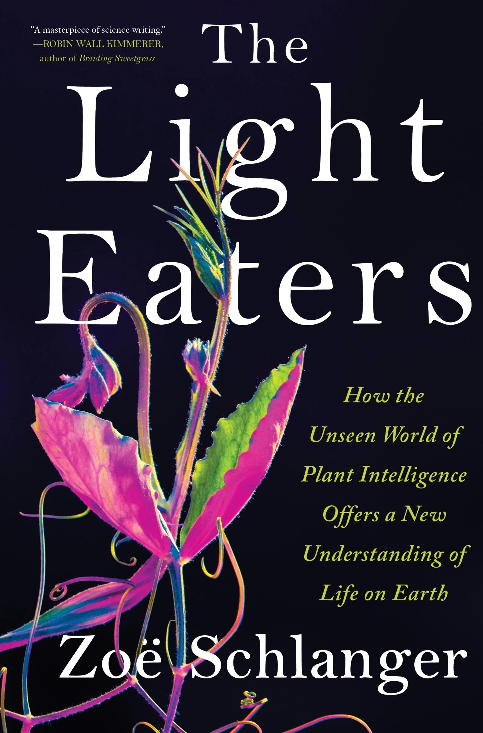 The Light Eaters - Image 2