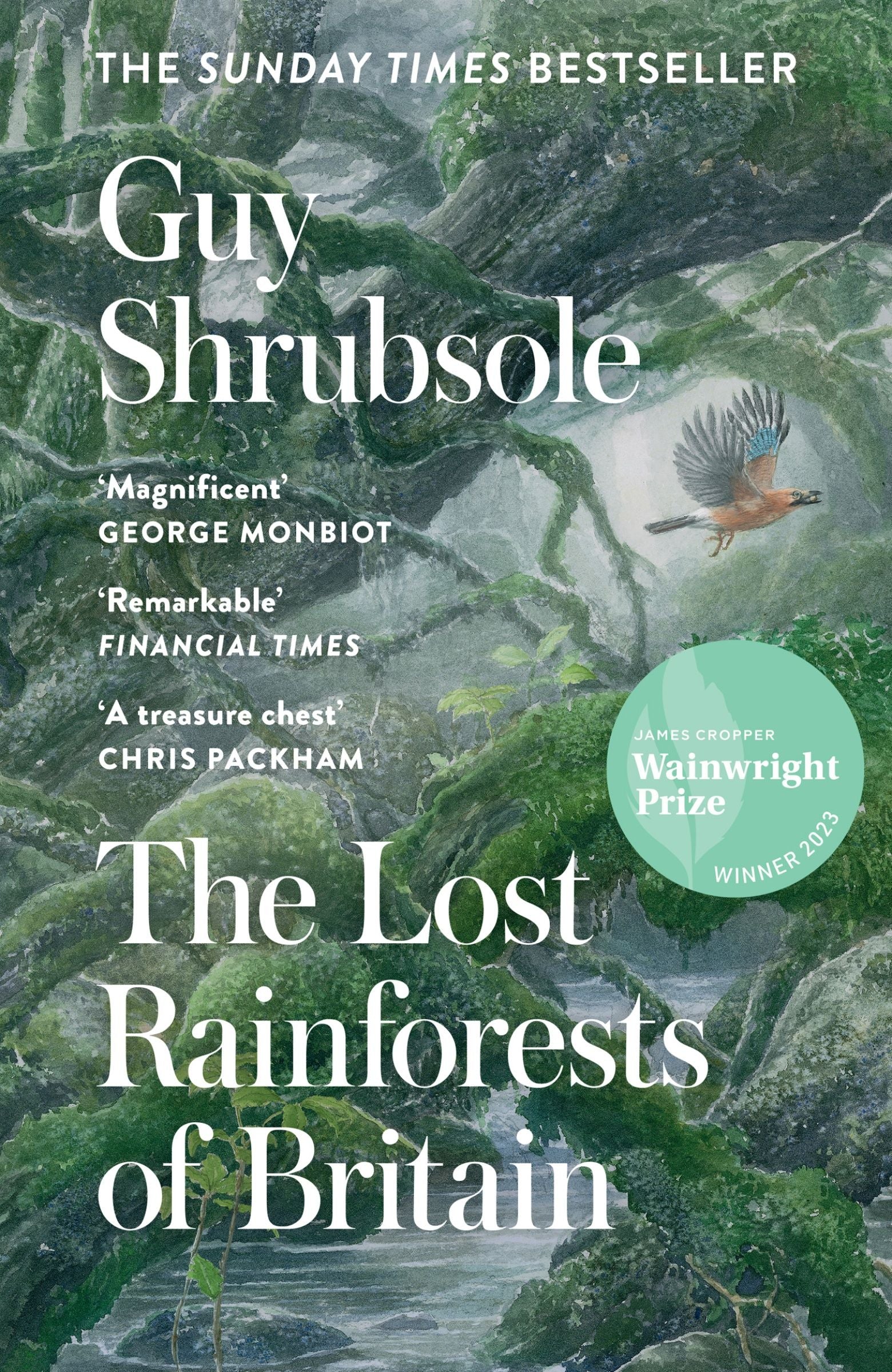 The Lost Rainforests of Britain - Image 3
