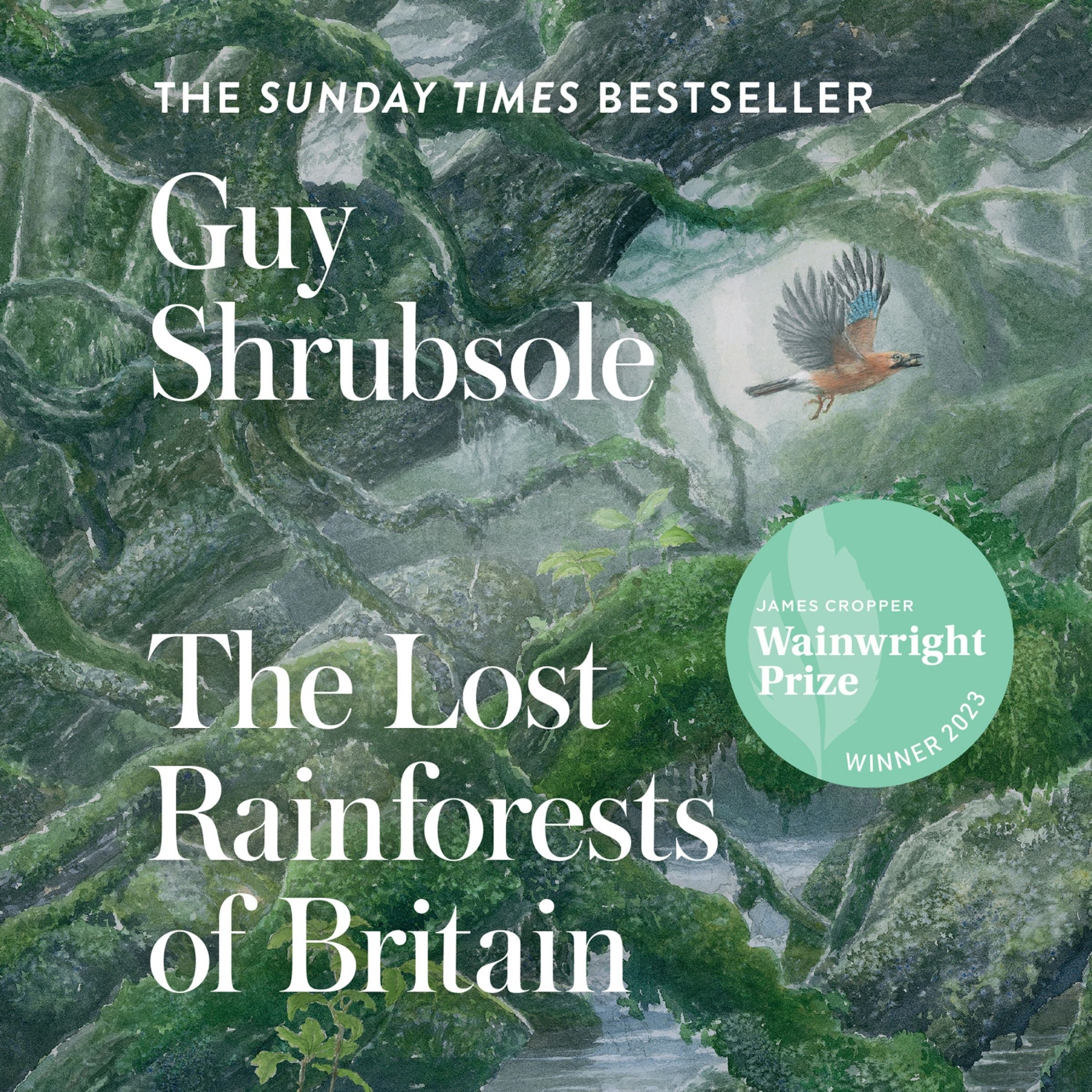 The Lost Rainforests of Britain - Image 4
