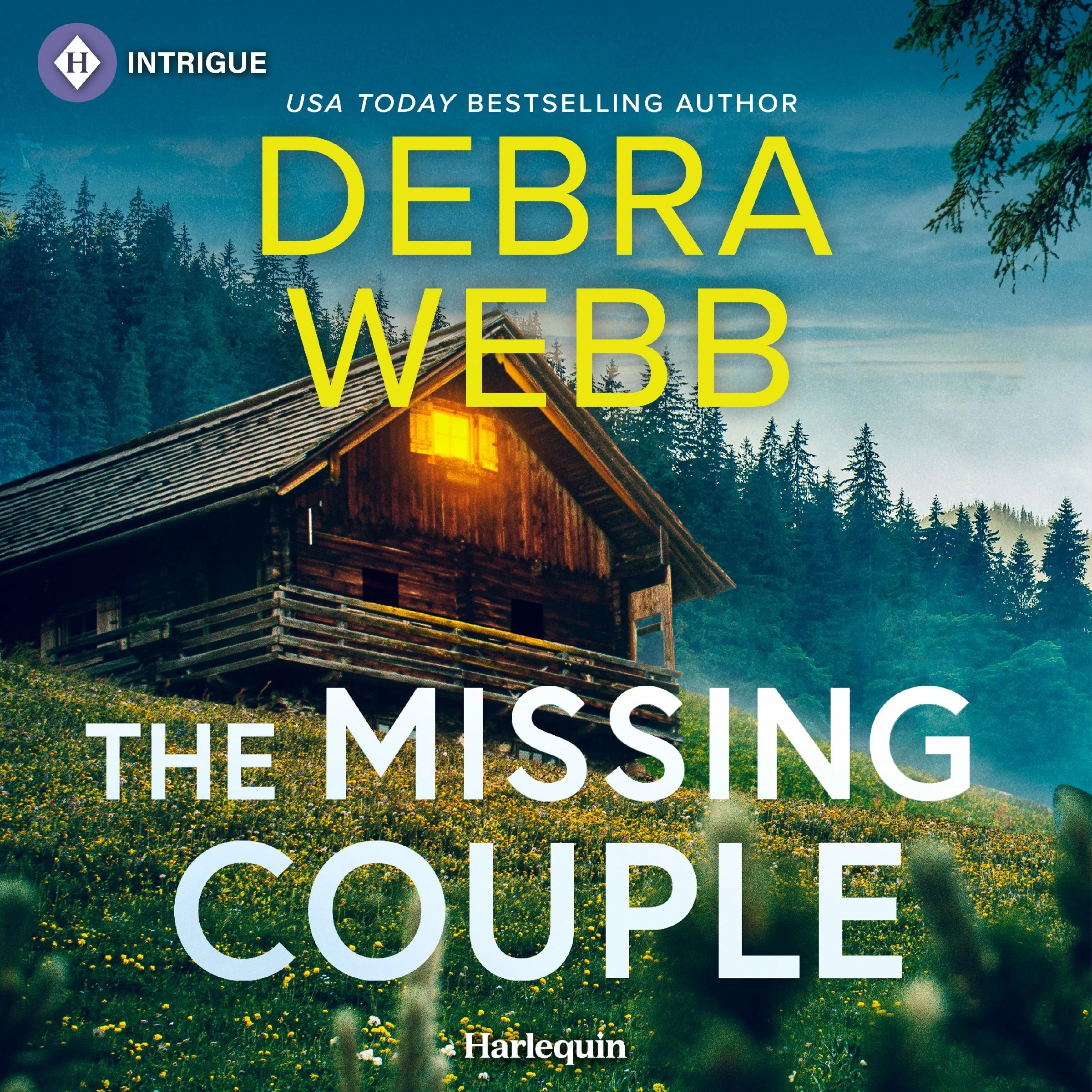 The Missing Couple - Image 2